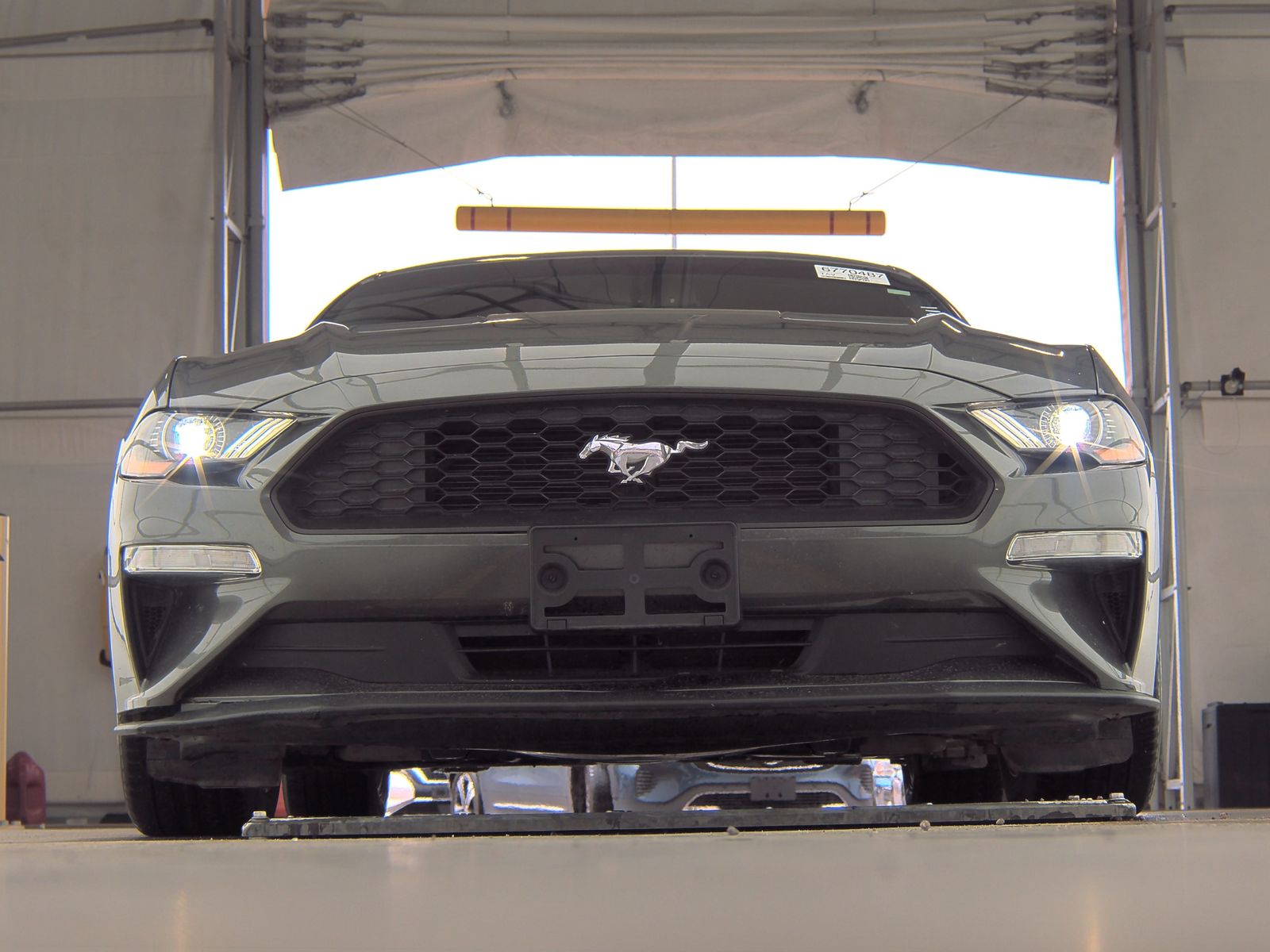 2019 Ford Mustang EcoBoost RWD