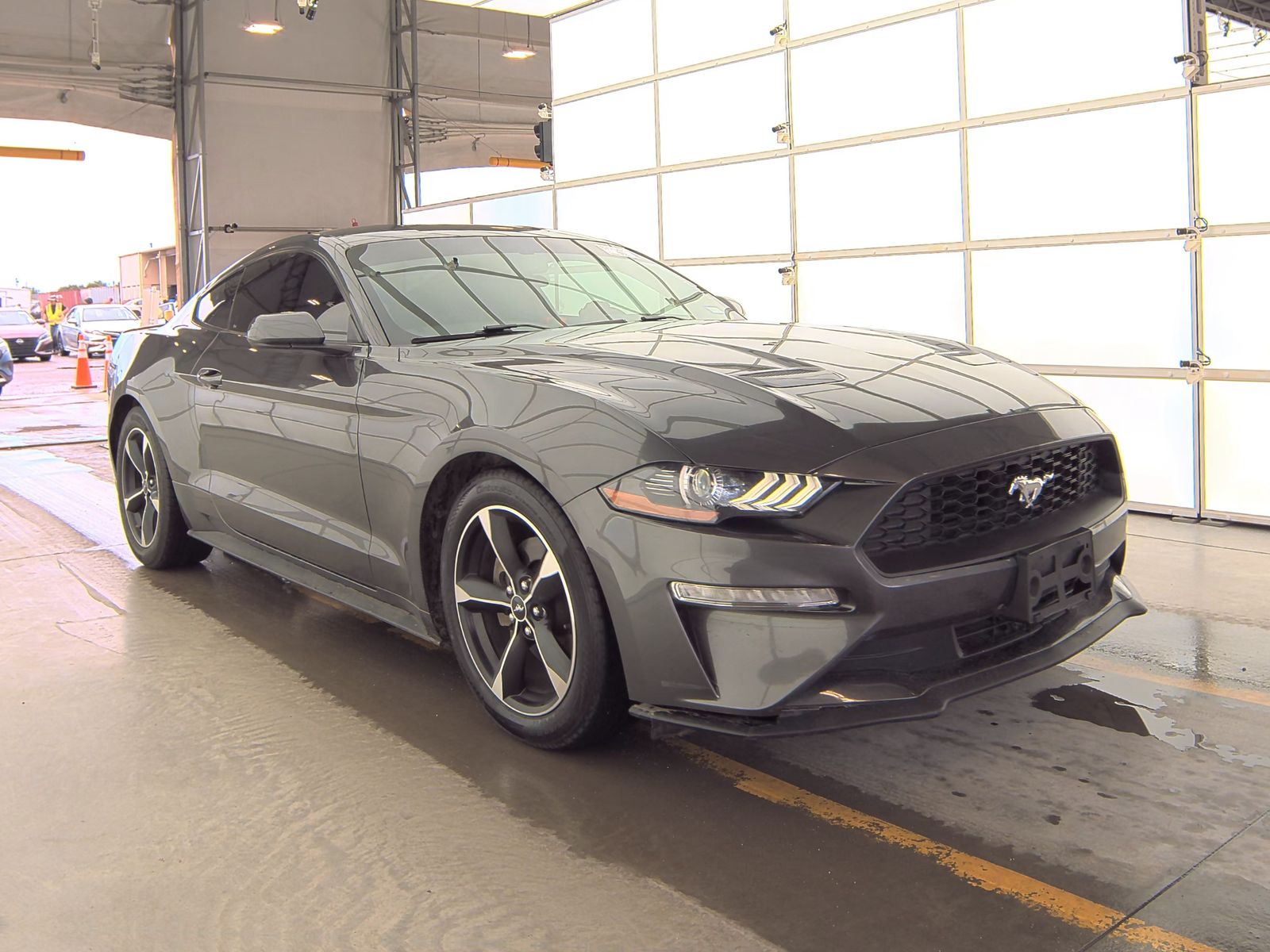 2019 Ford Mustang EcoBoost RWD