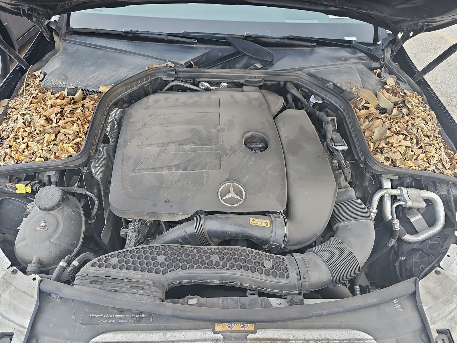 2019 Mercedes-Benz C-Class C 300 RWD