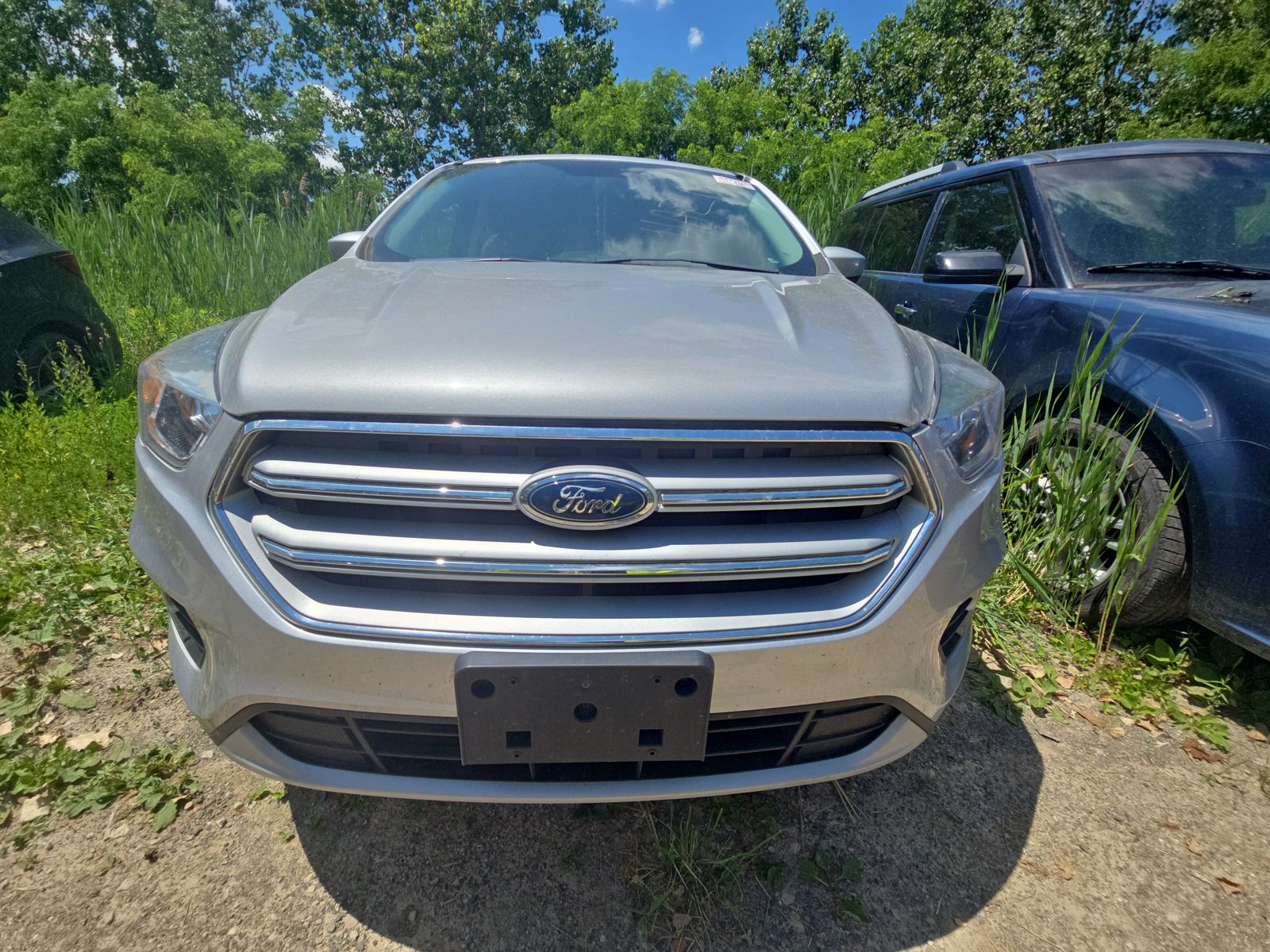 2019 Ford Escape SE AWD