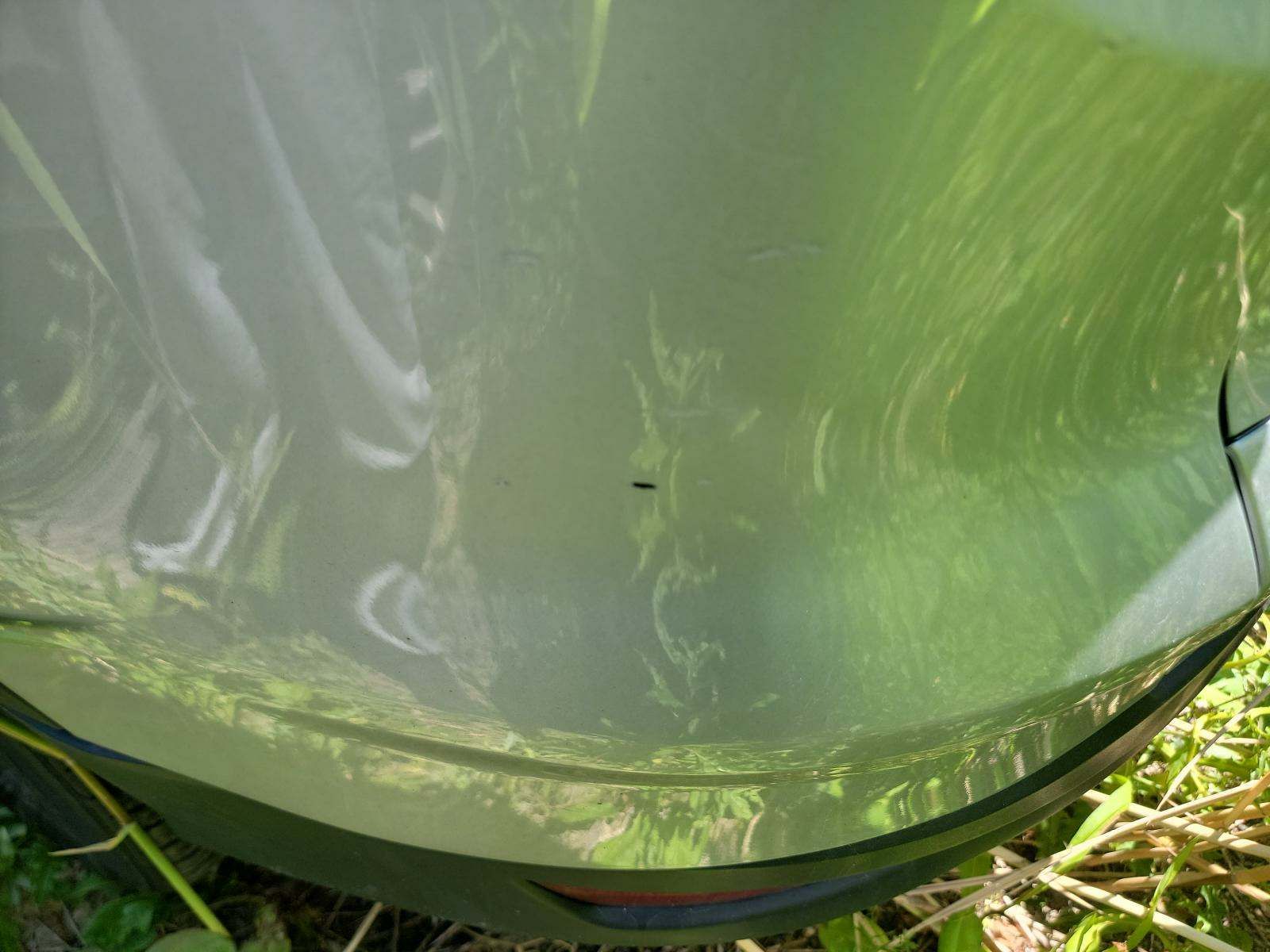 2019 Ford Escape SE AWD