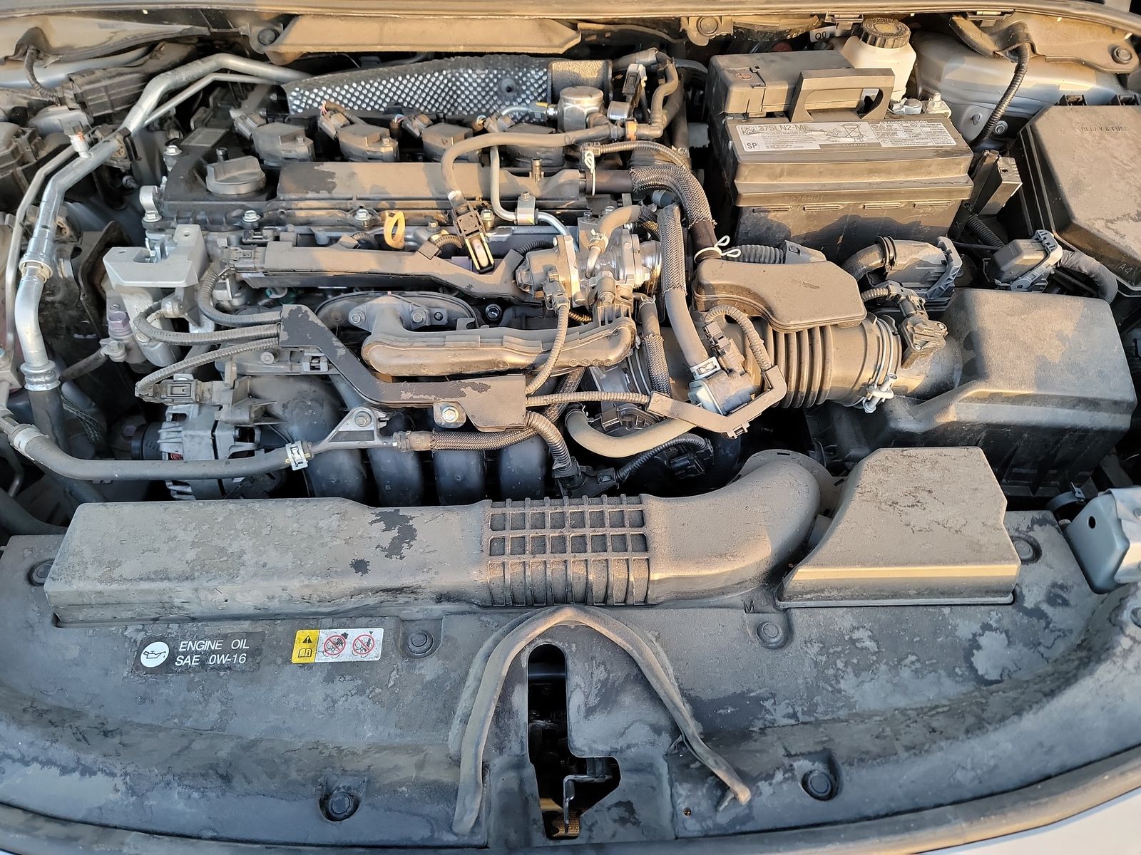 2022 Toyota Corolla SE APEX Edition FWD