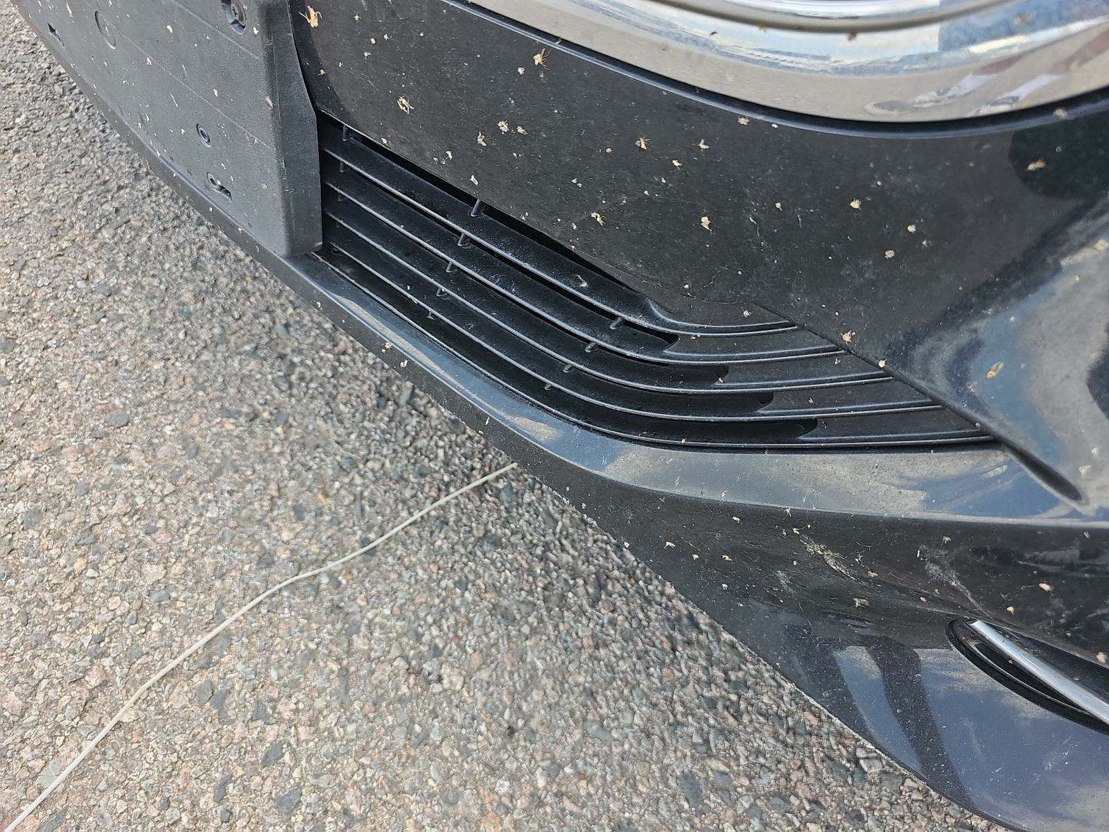 2017 Mercedes-Benz S-Class S 550 RWD