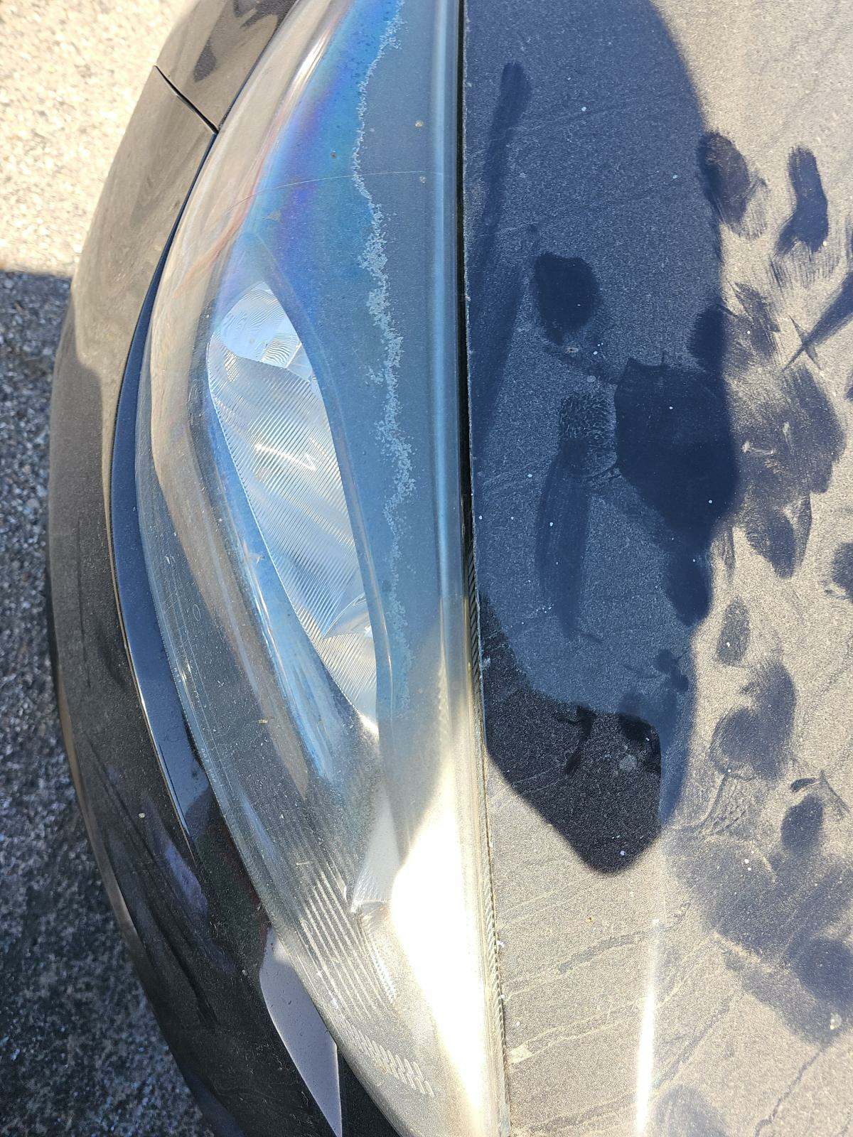 2018 Ford Focus SEL FWD