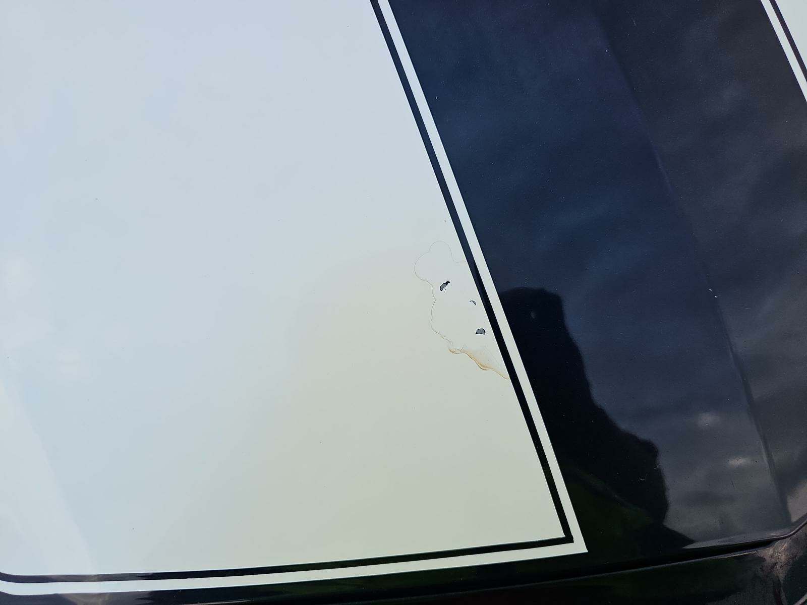 2010 Chevrolet Camaro SS FWD