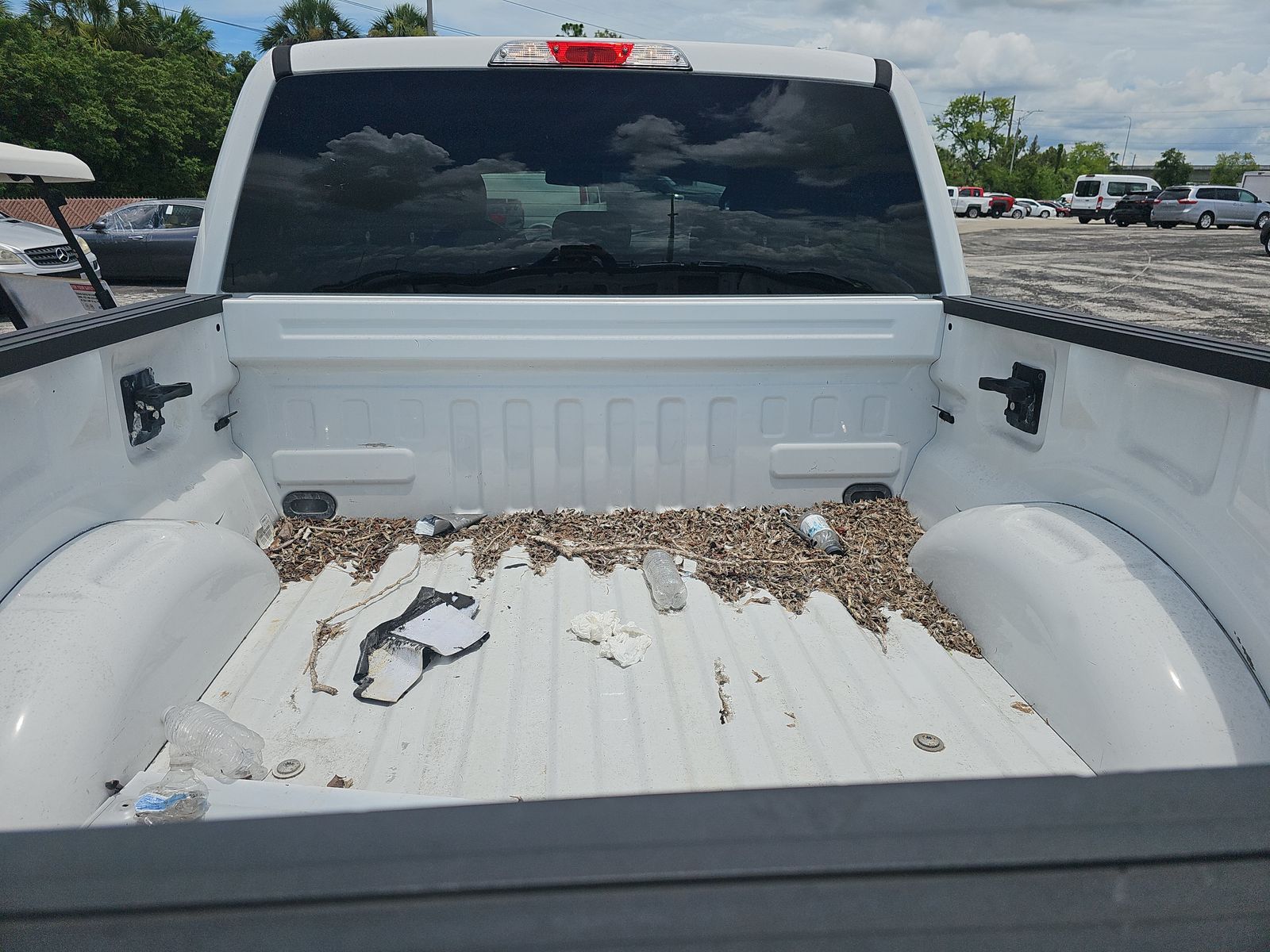 2019 Ford F-150 XLT AWD