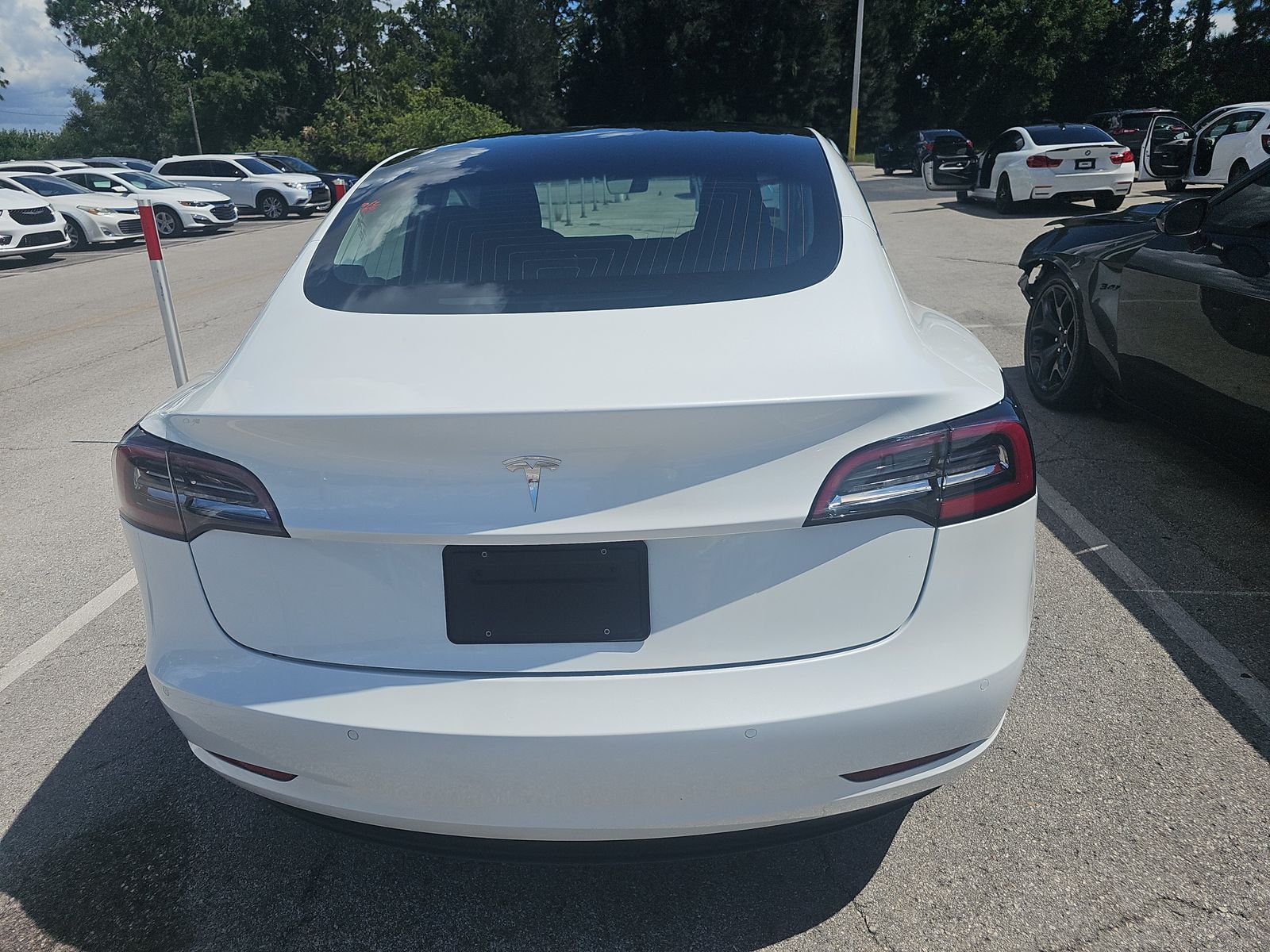 2019 Tesla Model 3 Standard Range Plus RWD