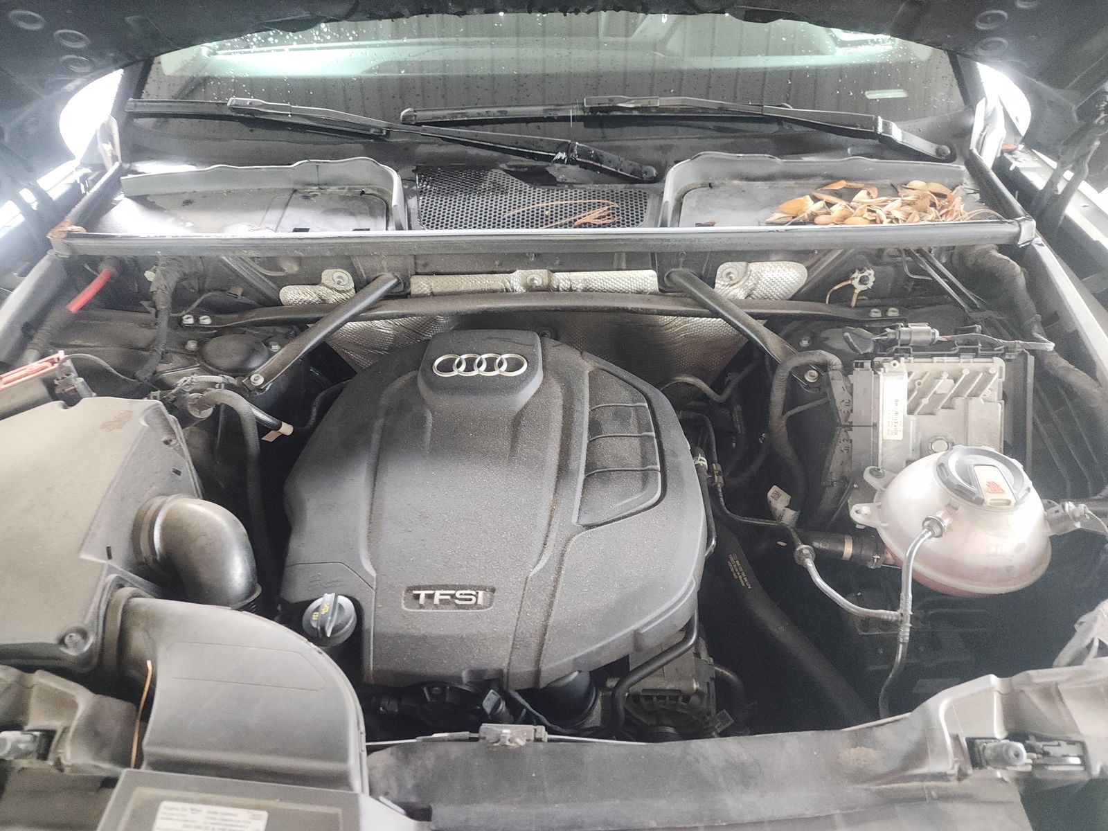 2020 Audi Q5 Premium Plus AWD