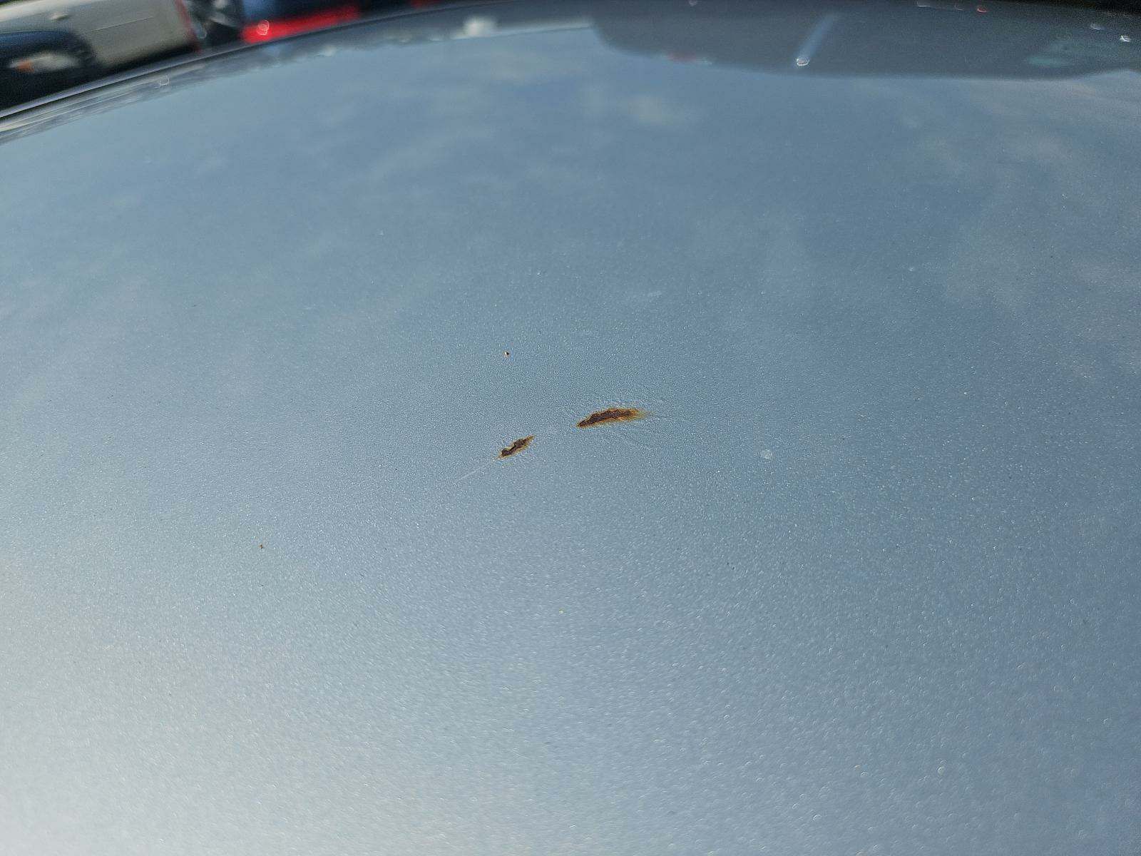 2013 Hyundai Sonata GLS FWD