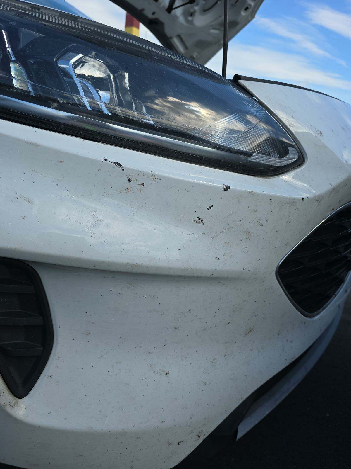 2021 Ford Escape SE FWD