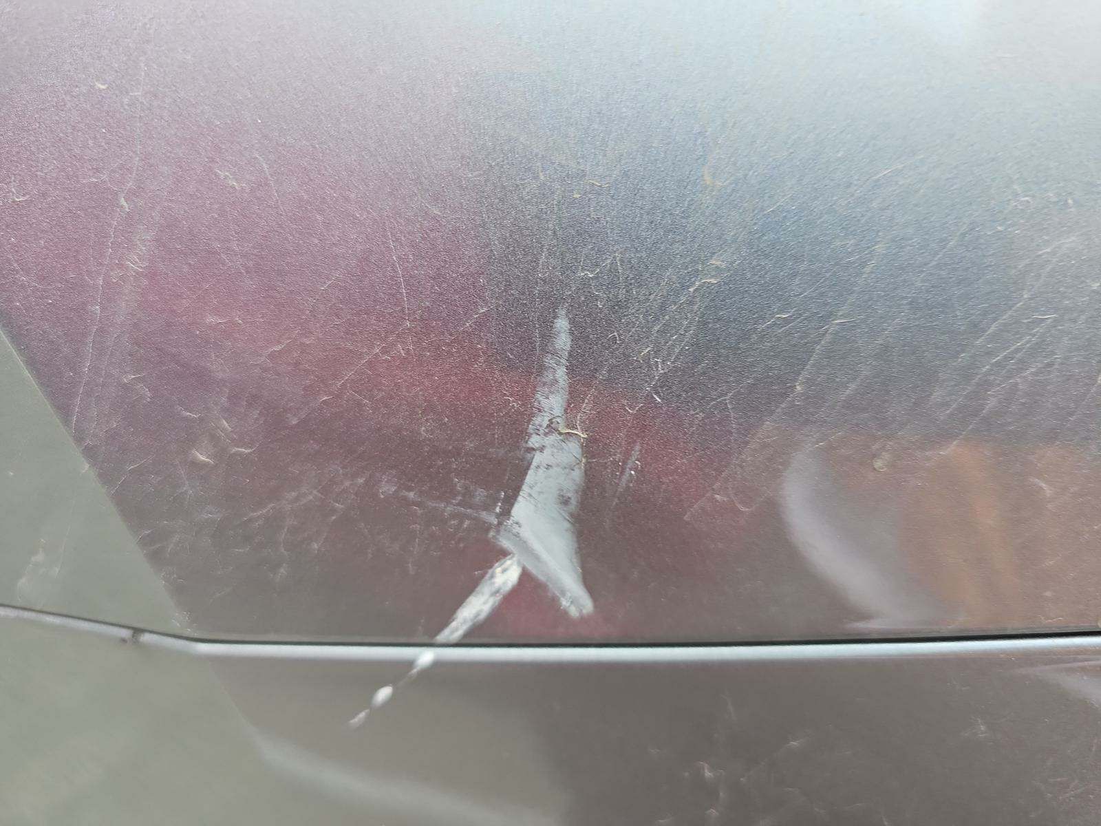 2020 Volkswagen Tiguan 2.0T SE AWD