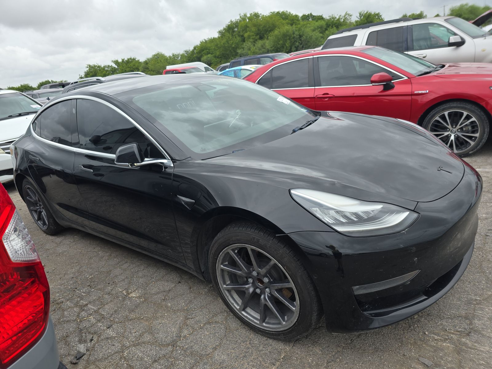 2019 Tesla Model 3 Standard Range Plus RWD