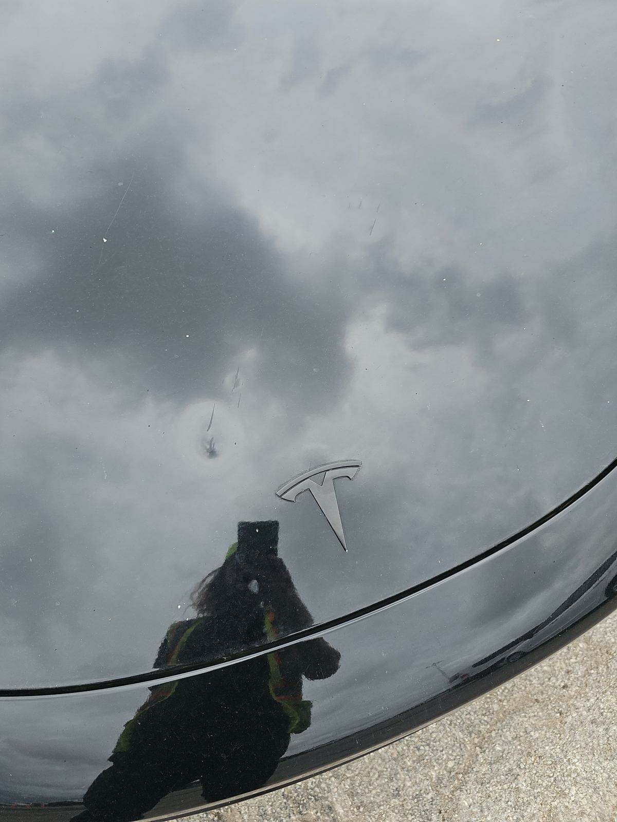 2019 Tesla Model 3 Standard Range Plus RWD