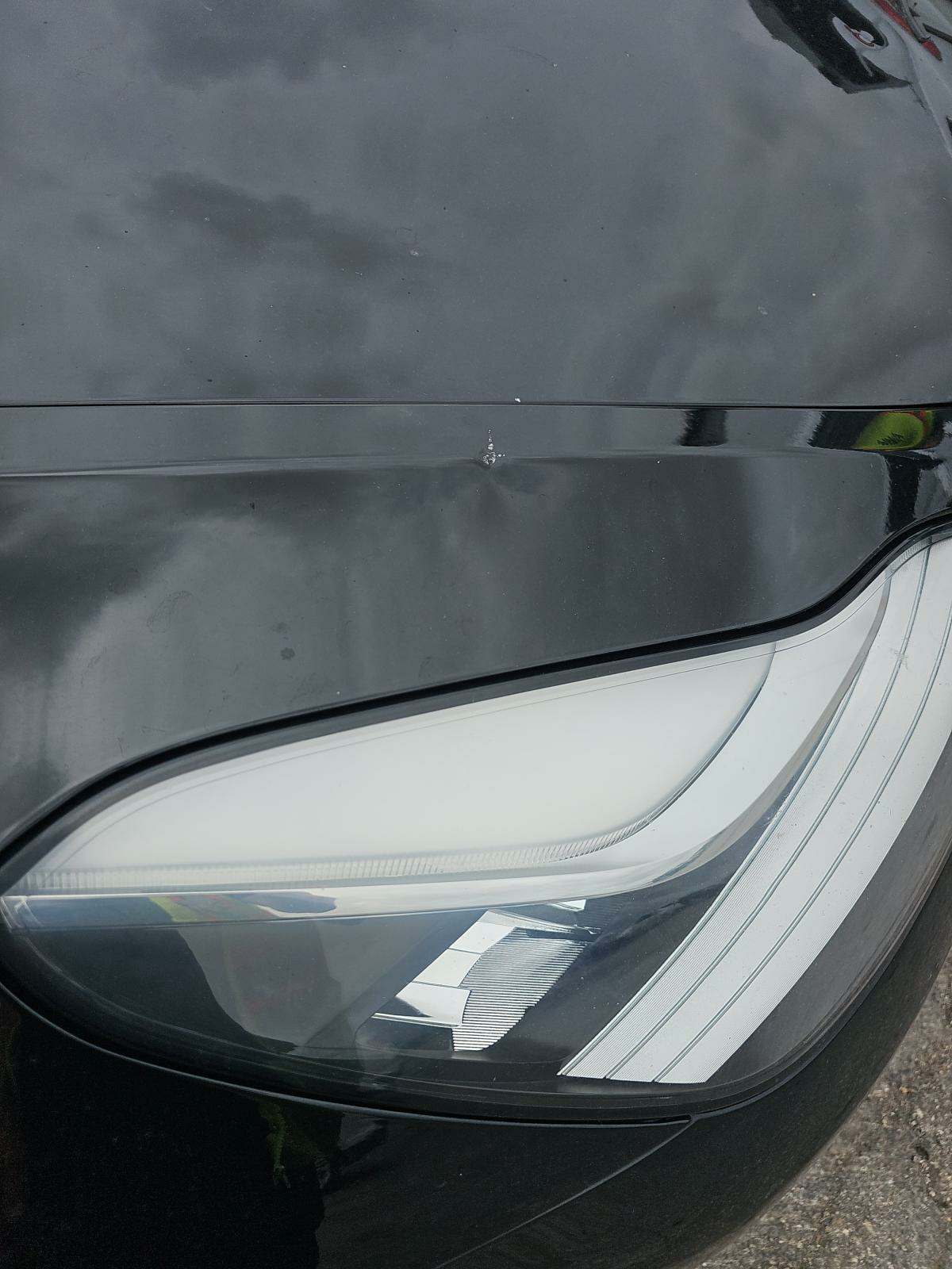 2019 Tesla Model 3 Standard Range Plus RWD