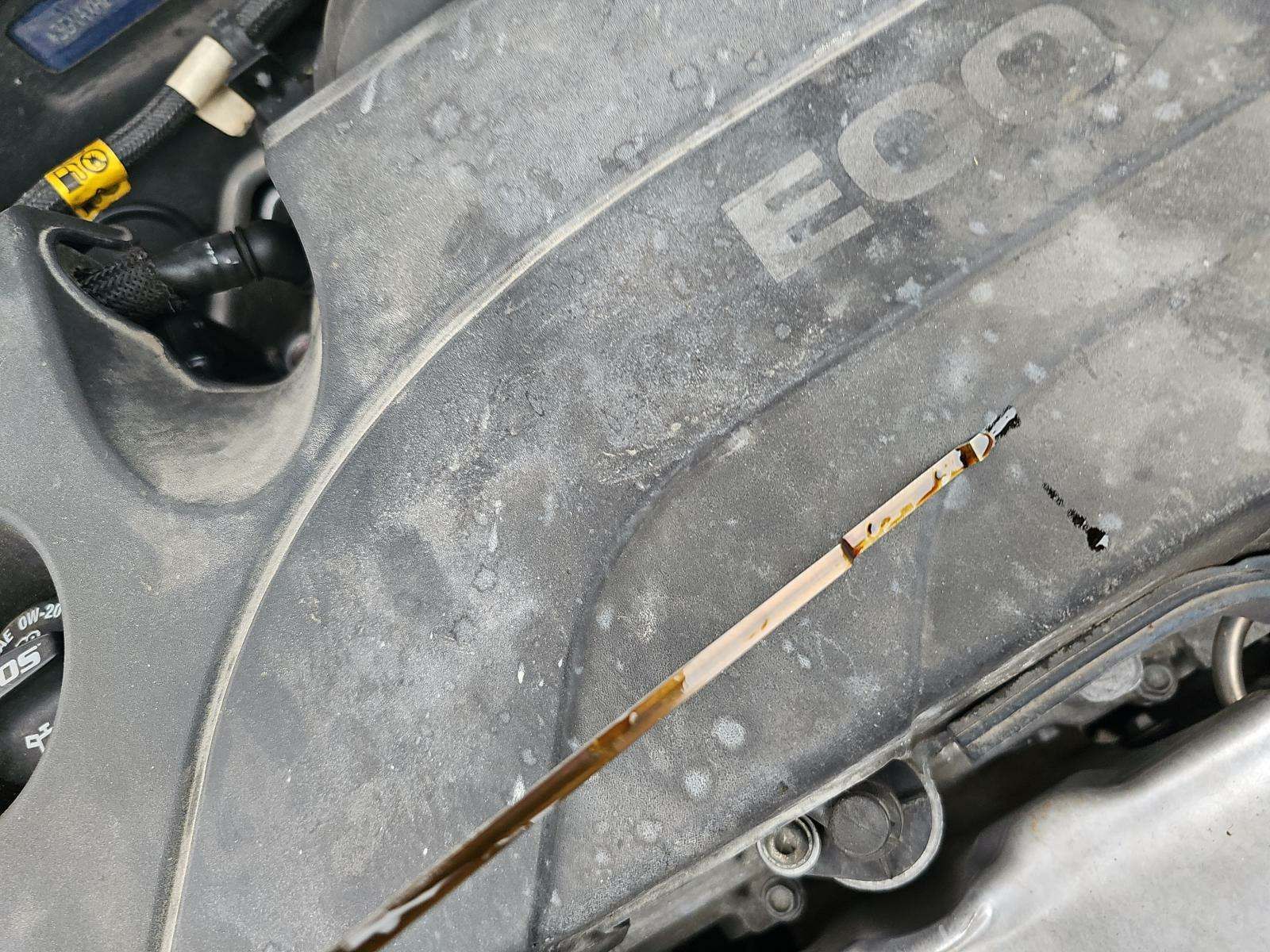 2019 Chevrolet Equinox LS FWD