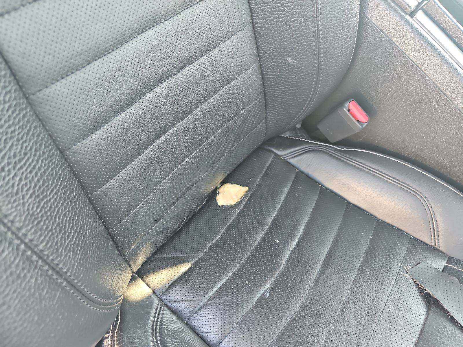 2011 Ford Mustang V6 Premium RWD