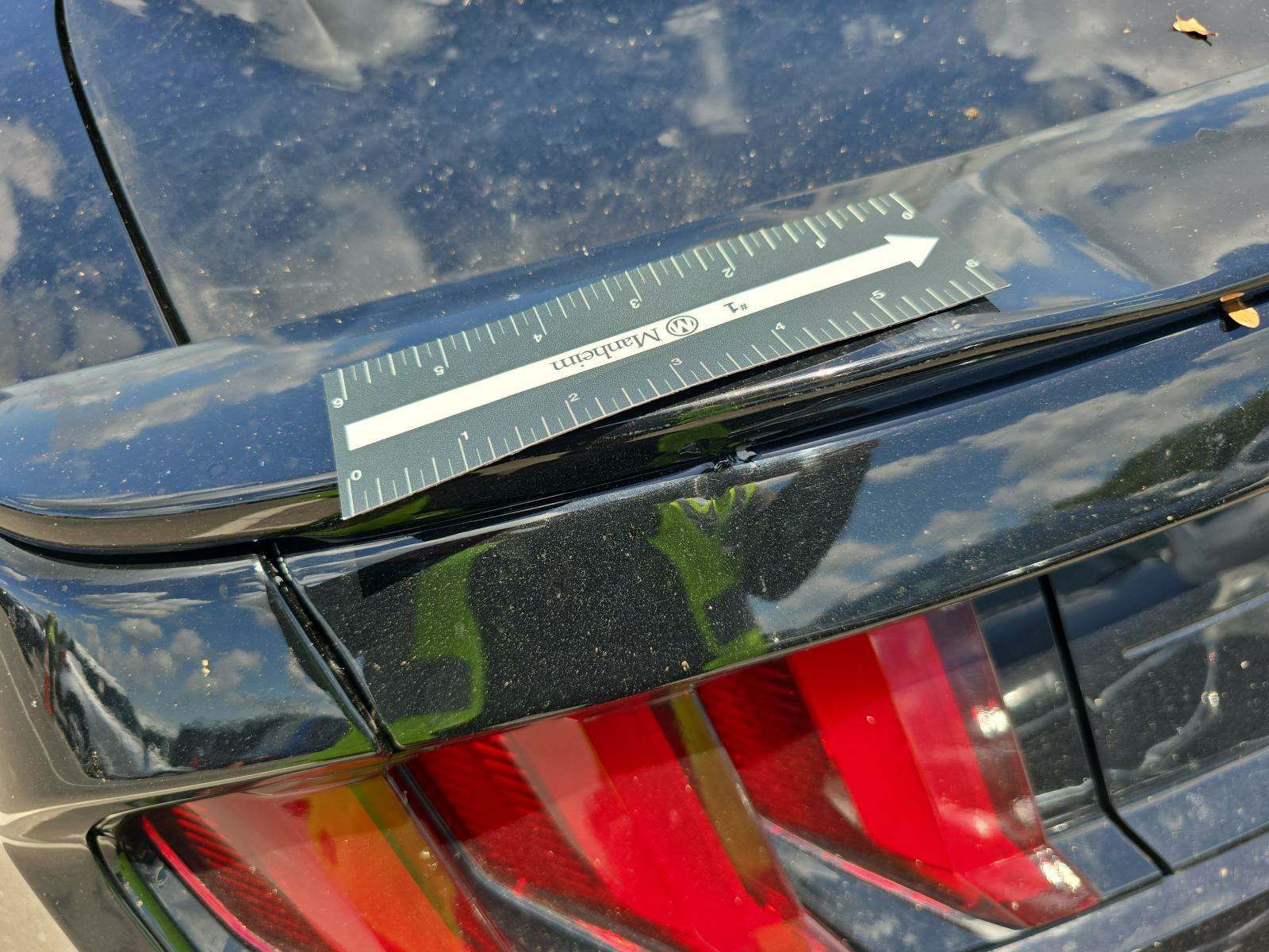 2019 Ford Mustang GT RWD