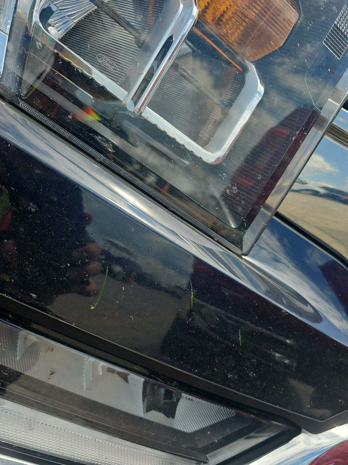 2021 Ford F-150 XLT FWD