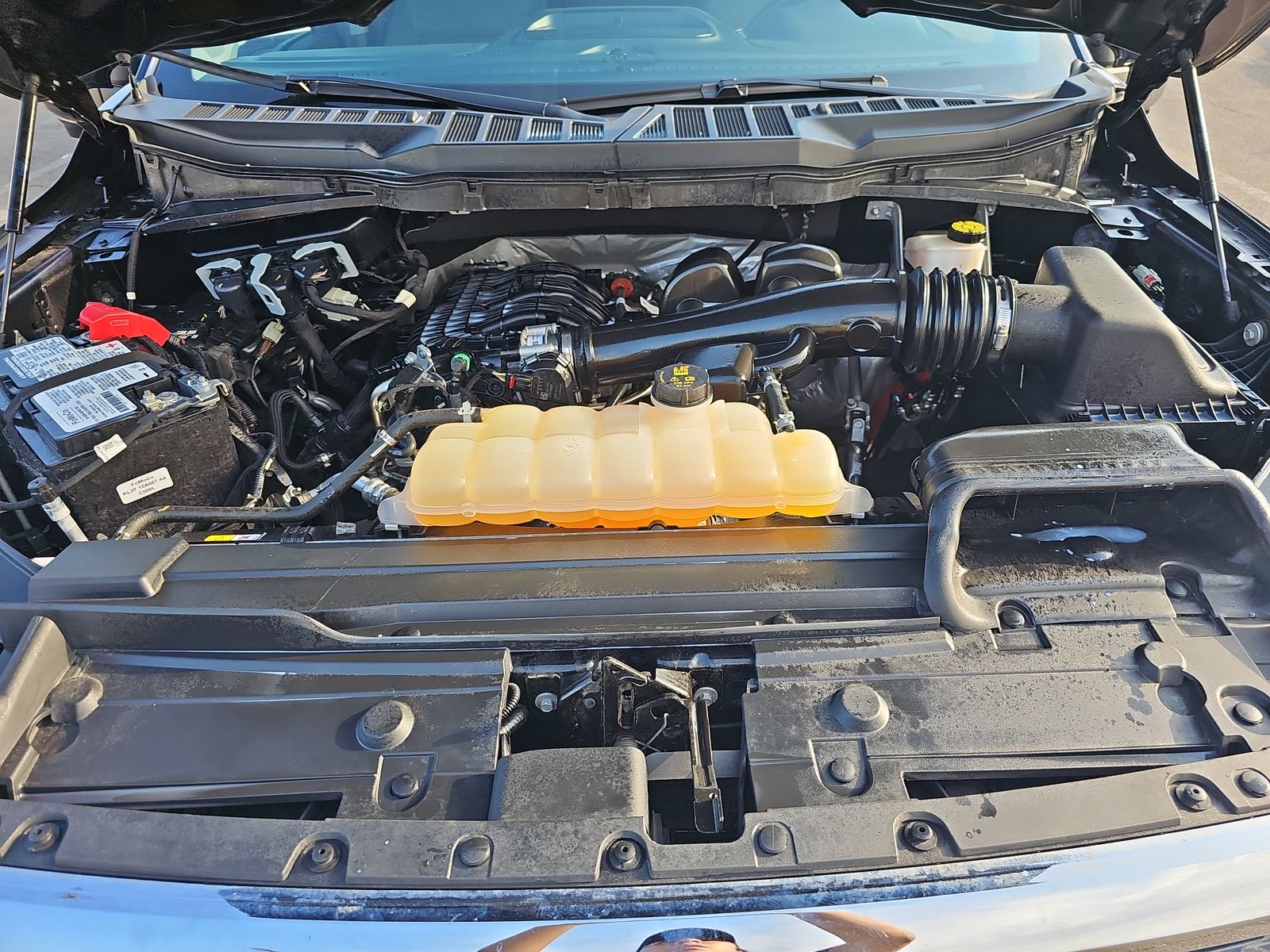 2021 Ford F-150 XLT FWD