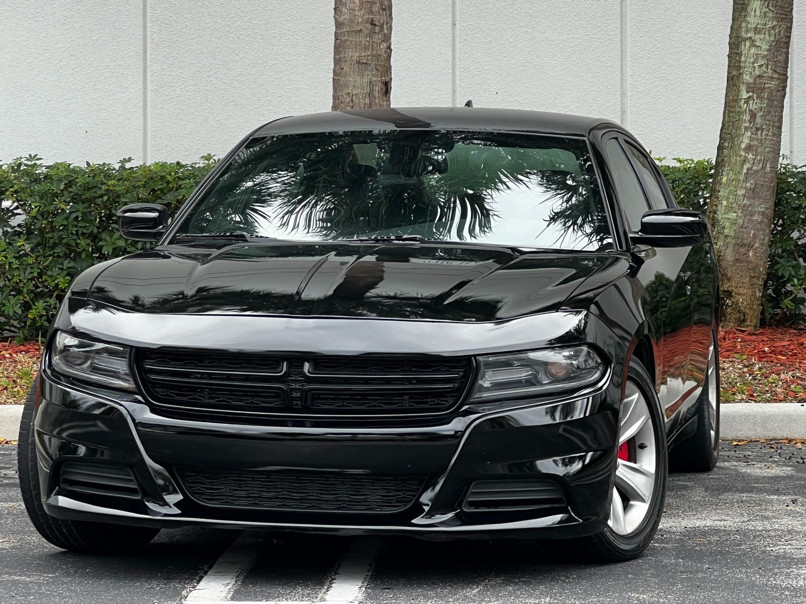 2015 Dodge Charger R/T