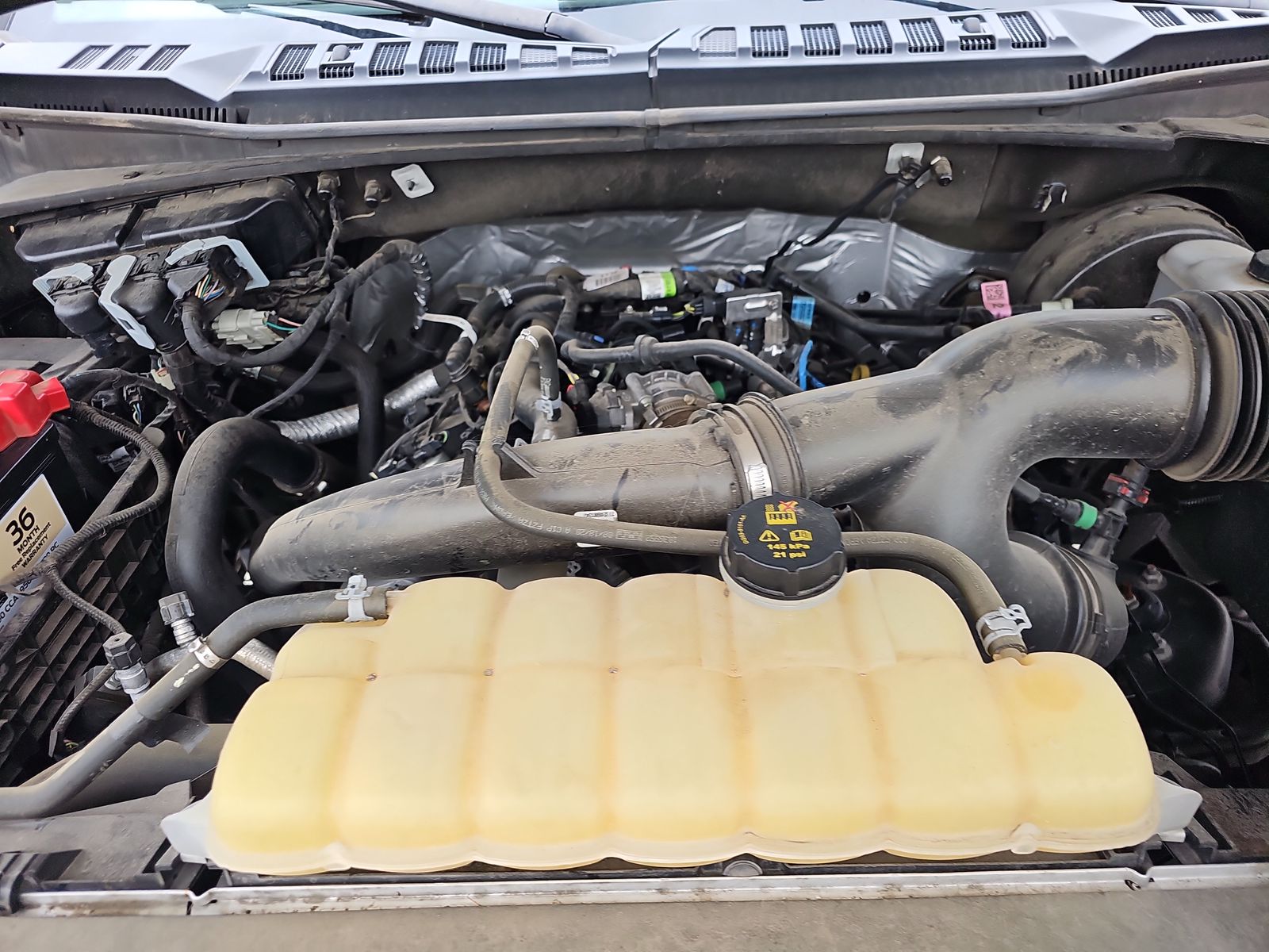 2020 Ford F-150 XLT RWD