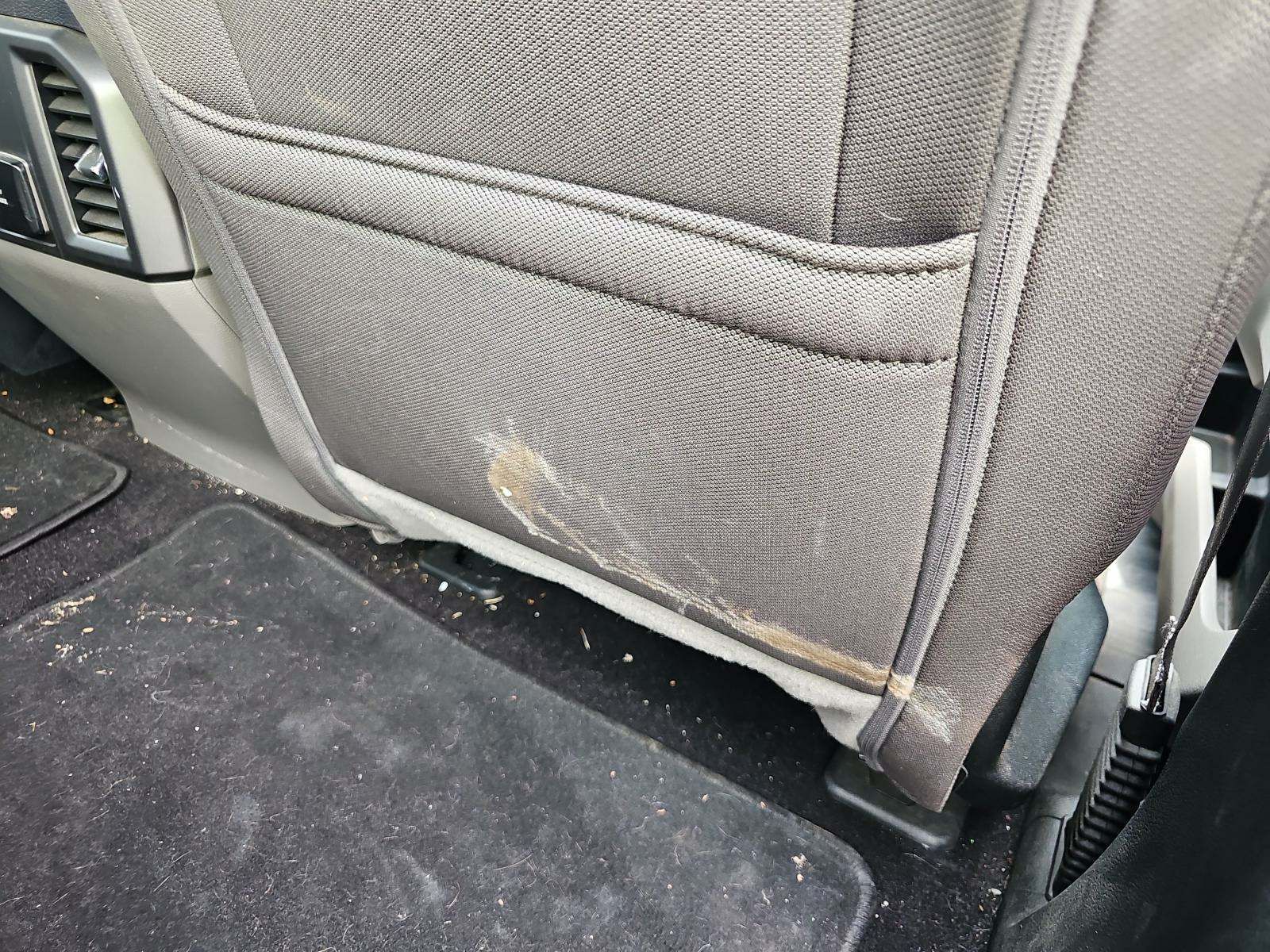 2020 Ford F-150 XLT RWD