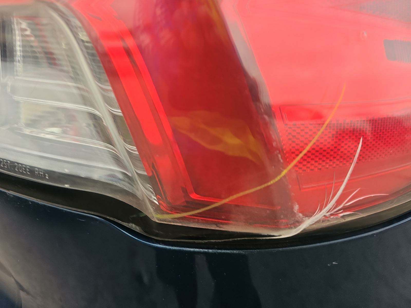 2020 Ford Escape SE FWD