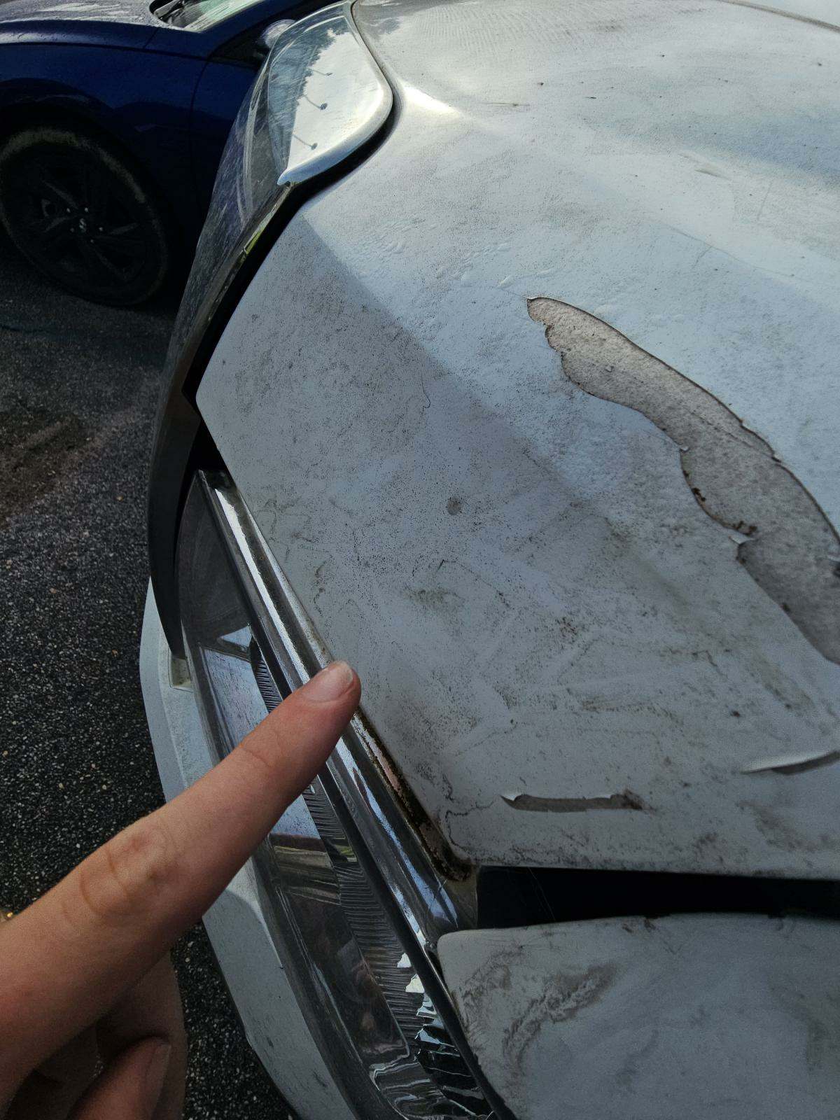 2013 Ford F-150 XLT AWD