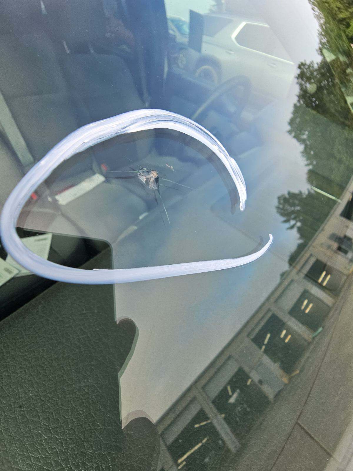 2013 Ford F-150 XLT AWD