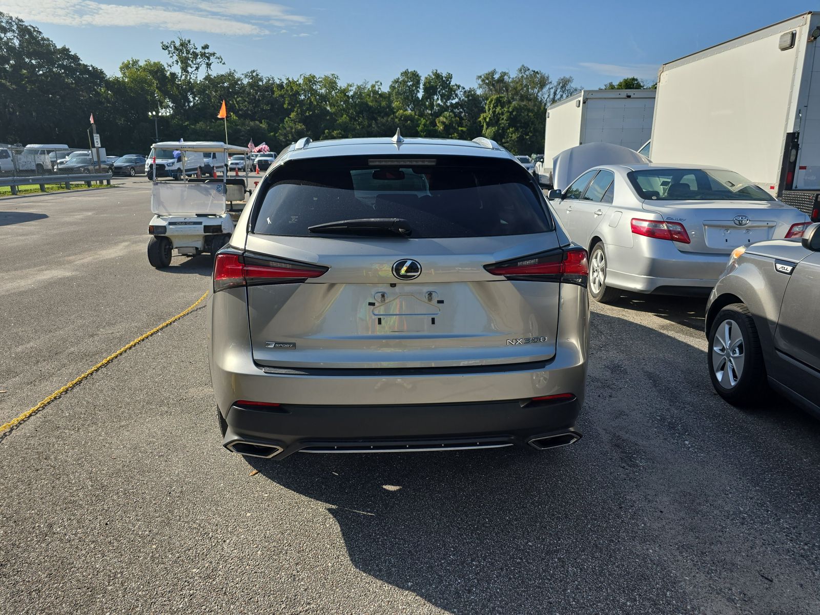 2020 Lexus NX NX 300 F SPORT FWD