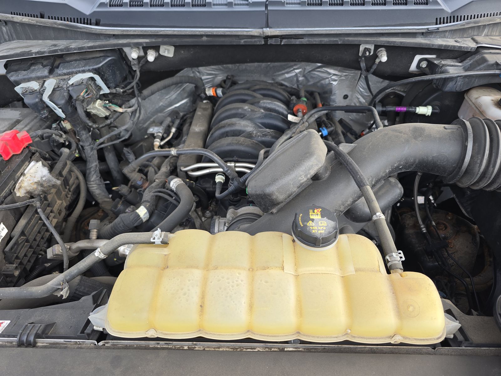 2019 Ford F-150 XLT AWD