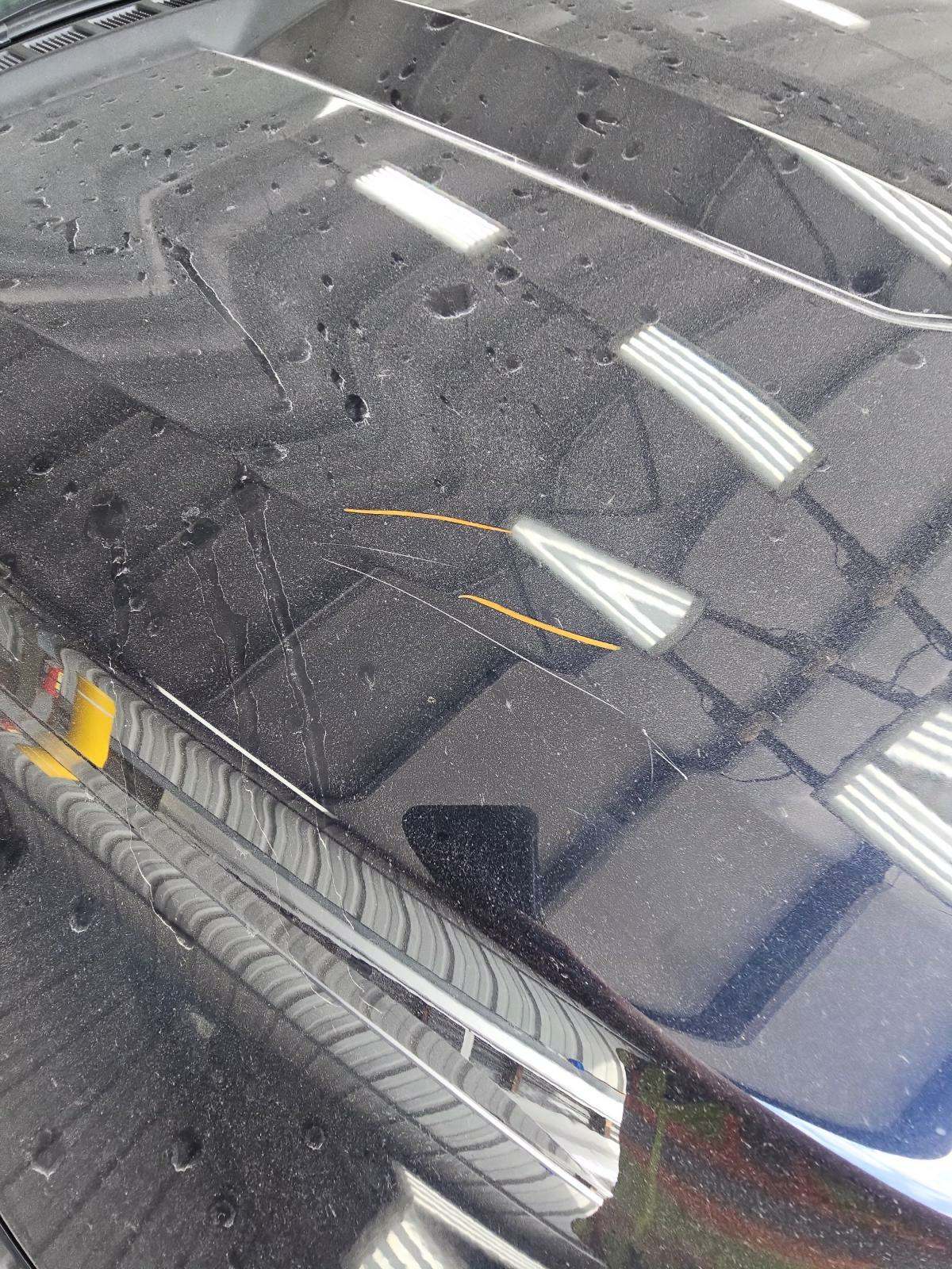 2021 Ford F-150 XLT AWD