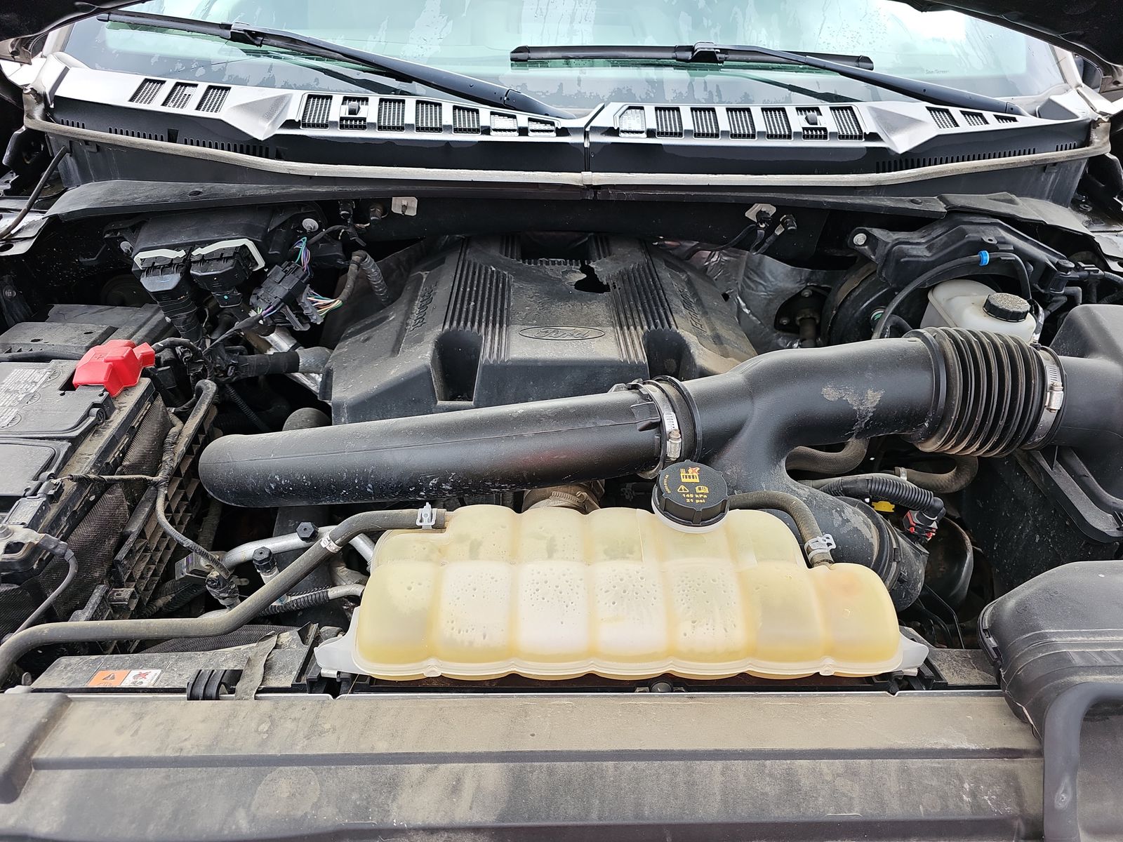 2019 Ford F-150 XLT AWD