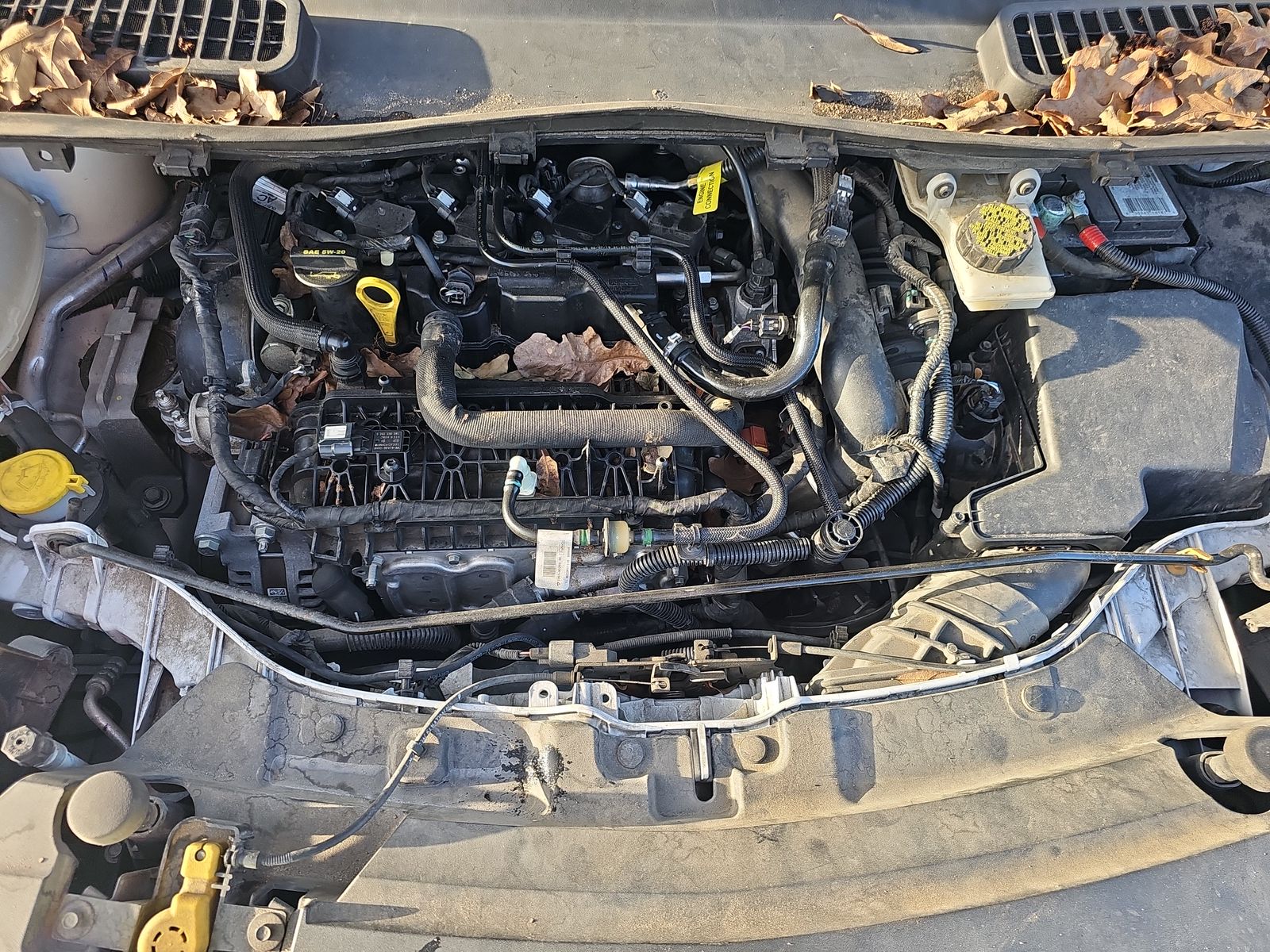 2019 Ford Escape SE FWD