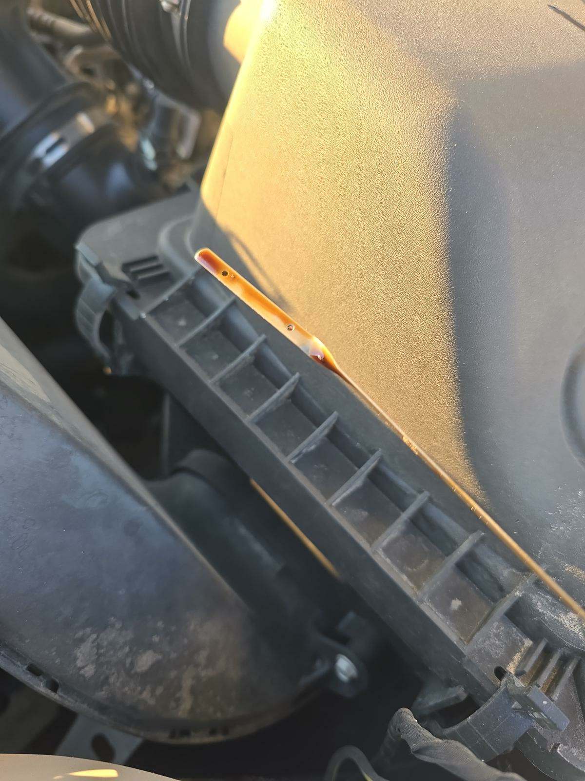 2021 Ford F-150 XL AWD