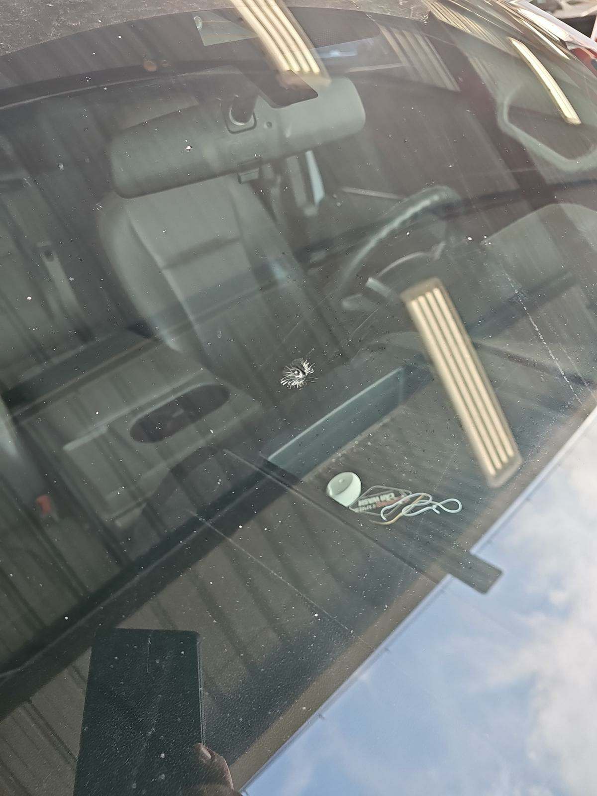 2019 Ford F-150 XL AWD