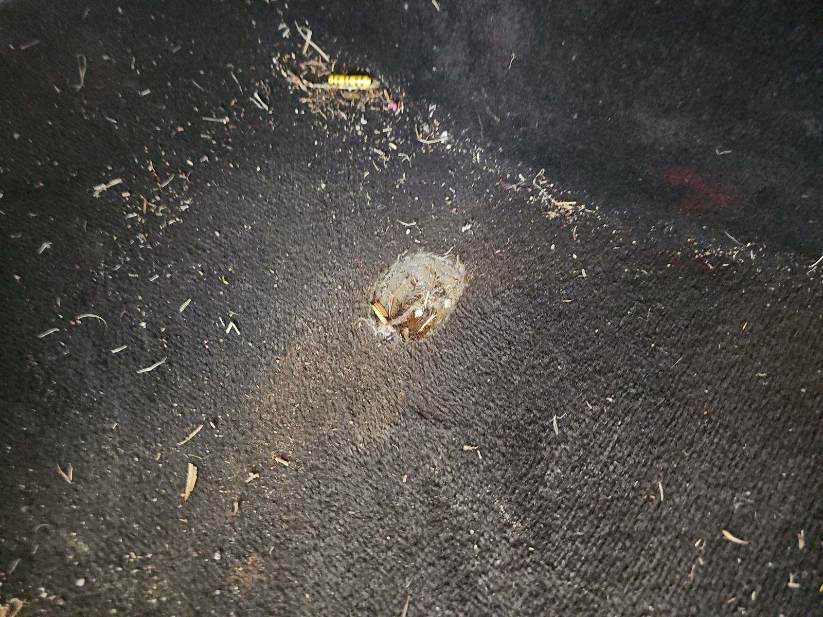 2016 Dodge Charger R/T RWD