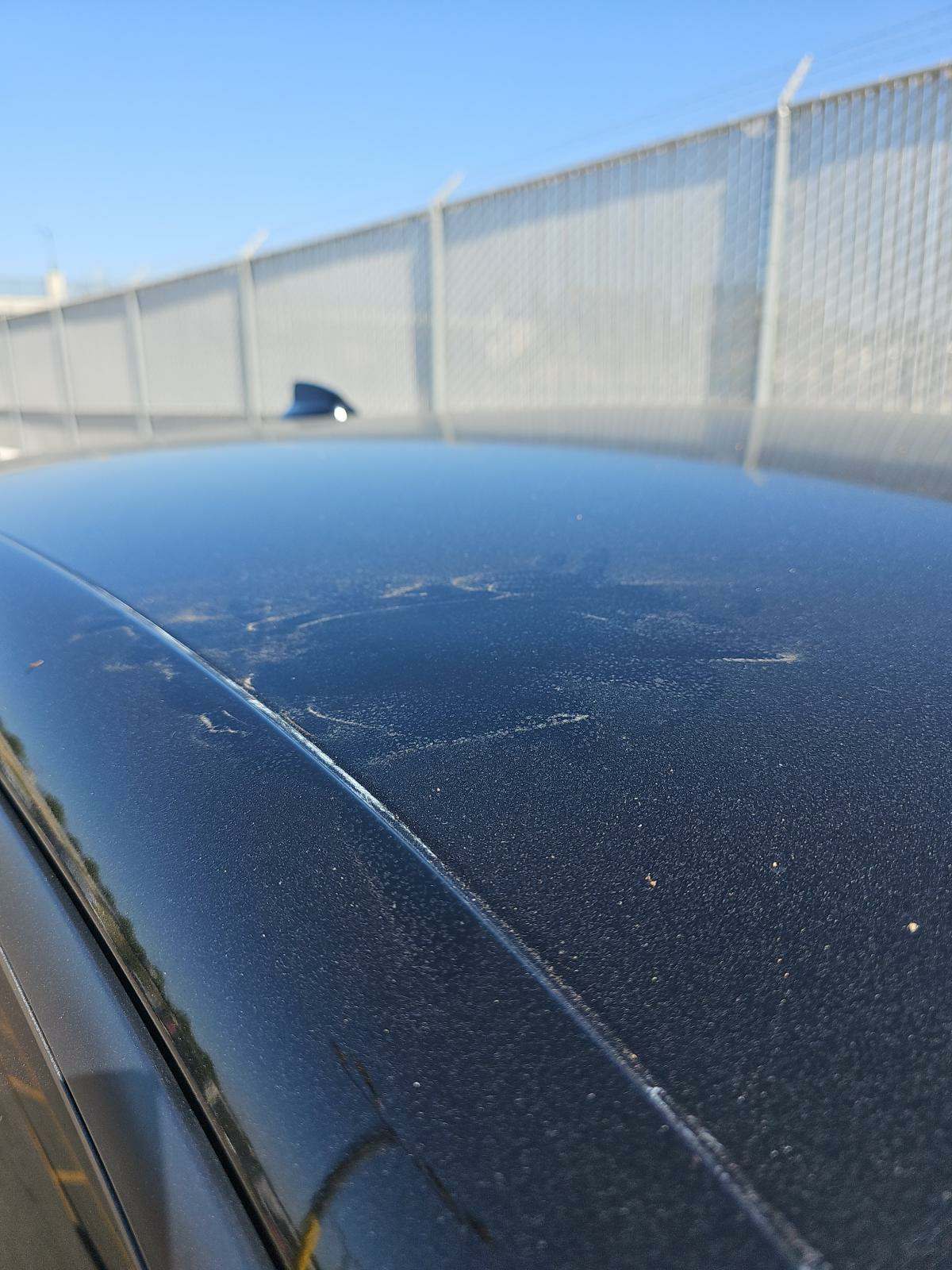 2020 Dodge Charger R/T RWD