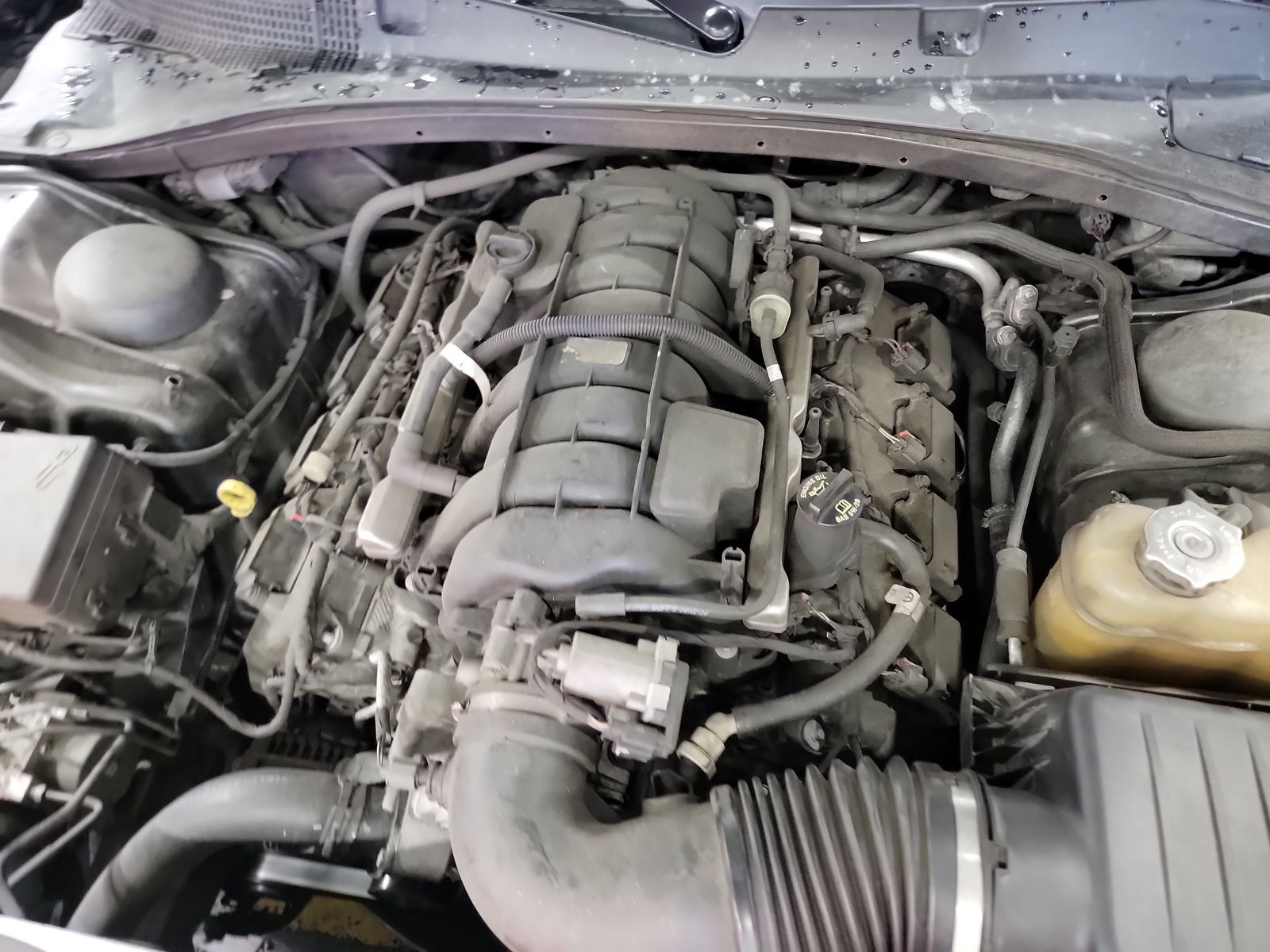 2020 Dodge Charger R/T RWD