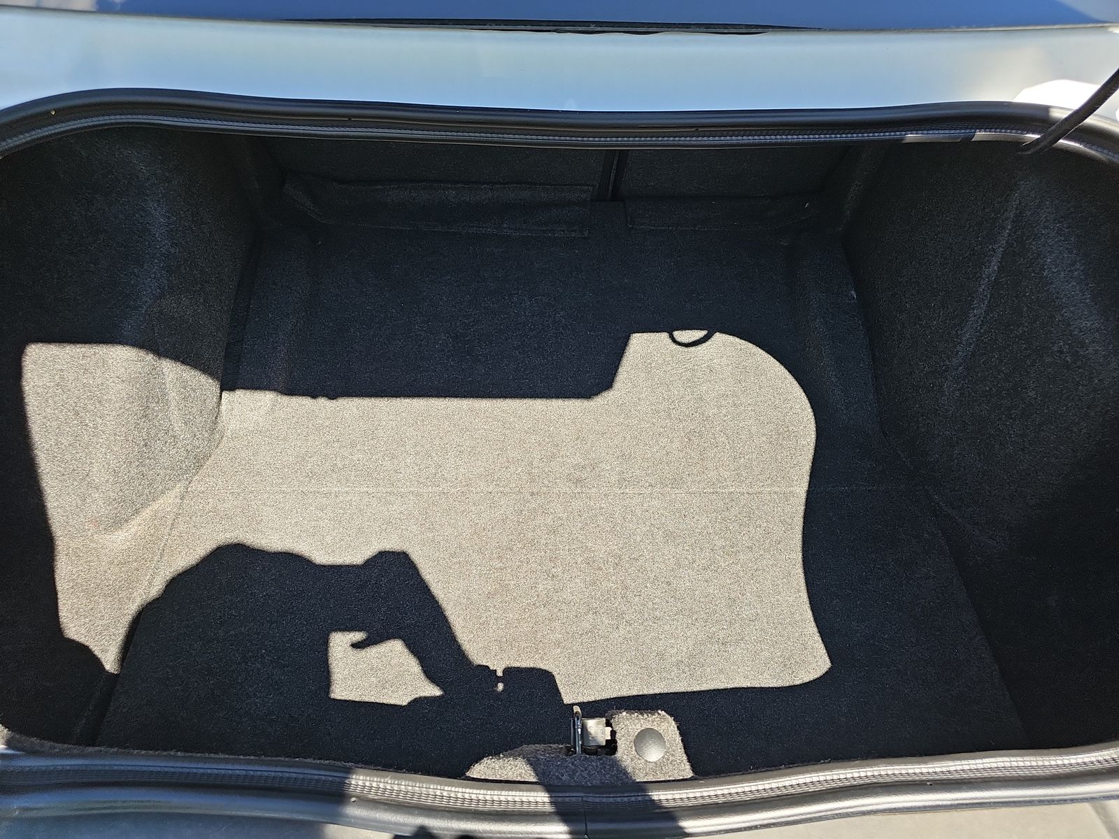 2021 Dodge Challenger R/T RWD