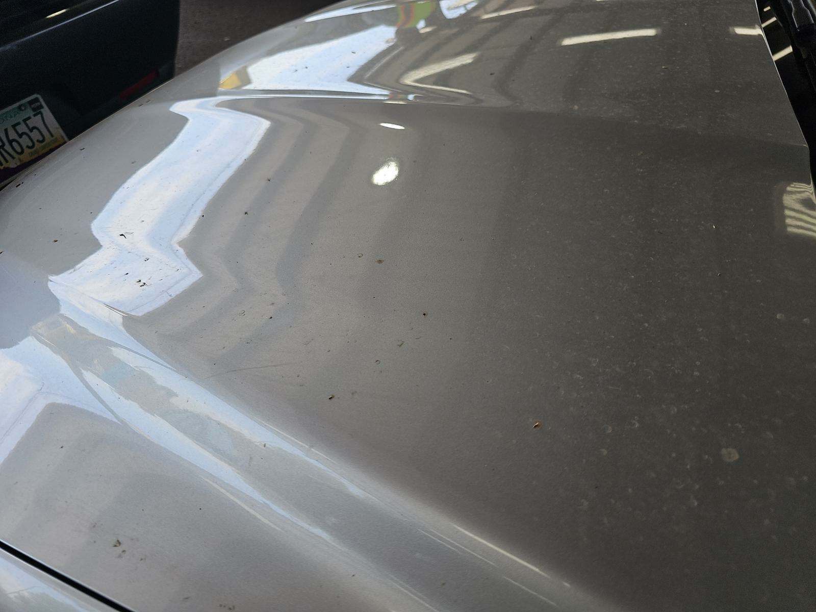 2019 Ford Fusion SE FWD