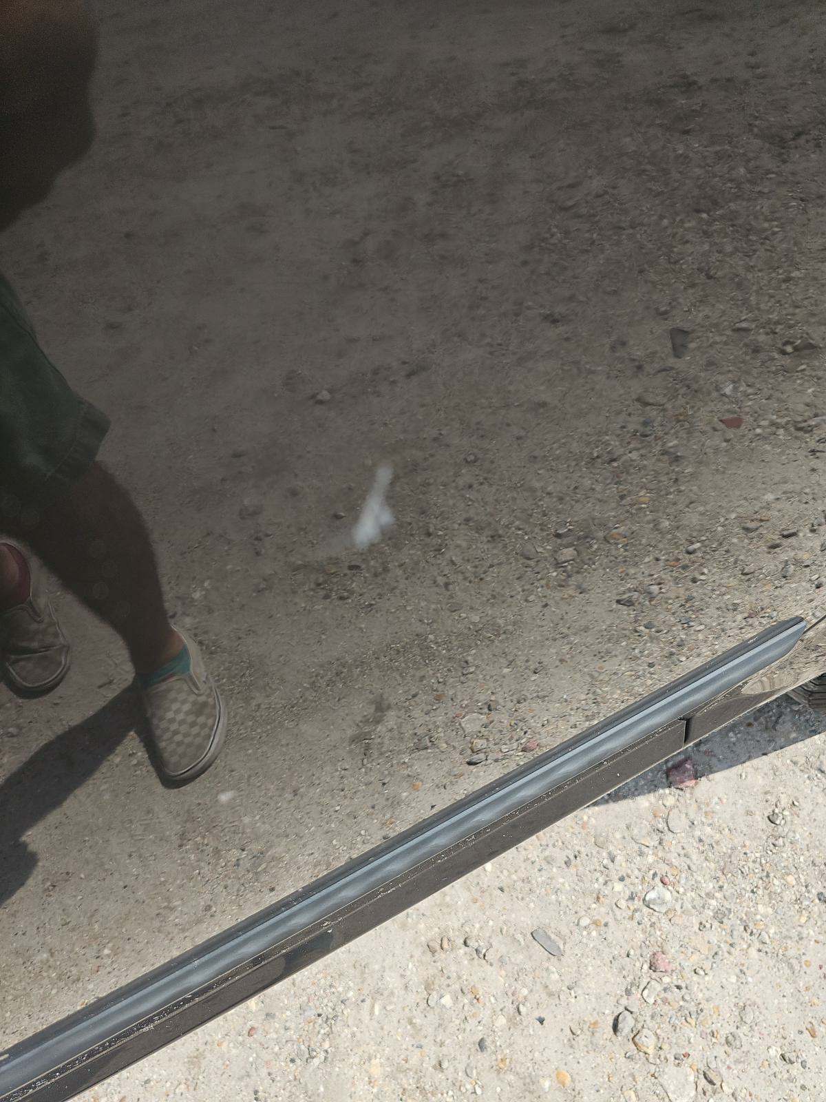 2016 Dodge Grand Caravan American Value Package FWD