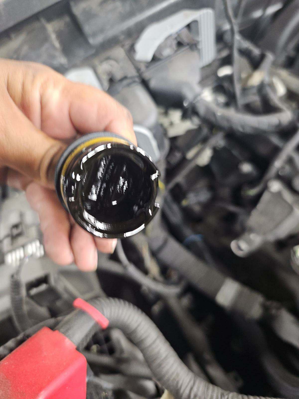 2021 Ford F-150 XLT RWD