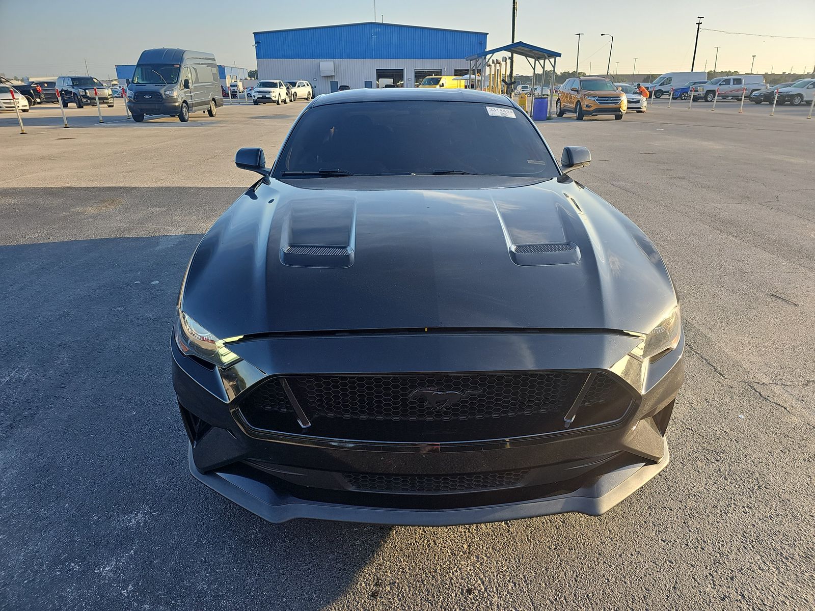 2019 Ford Mustang GT RWD