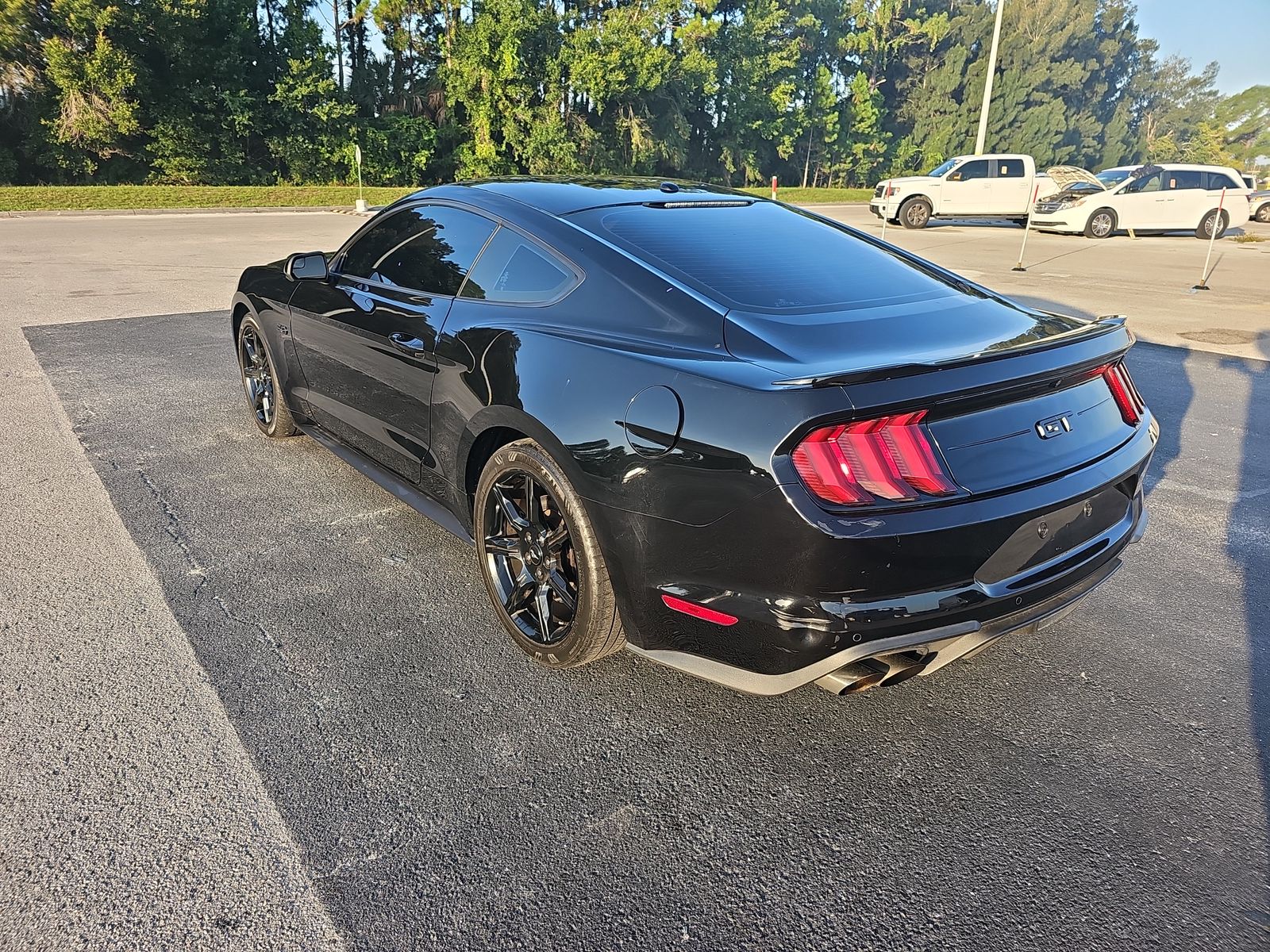 2019 Ford Mustang GT RWD