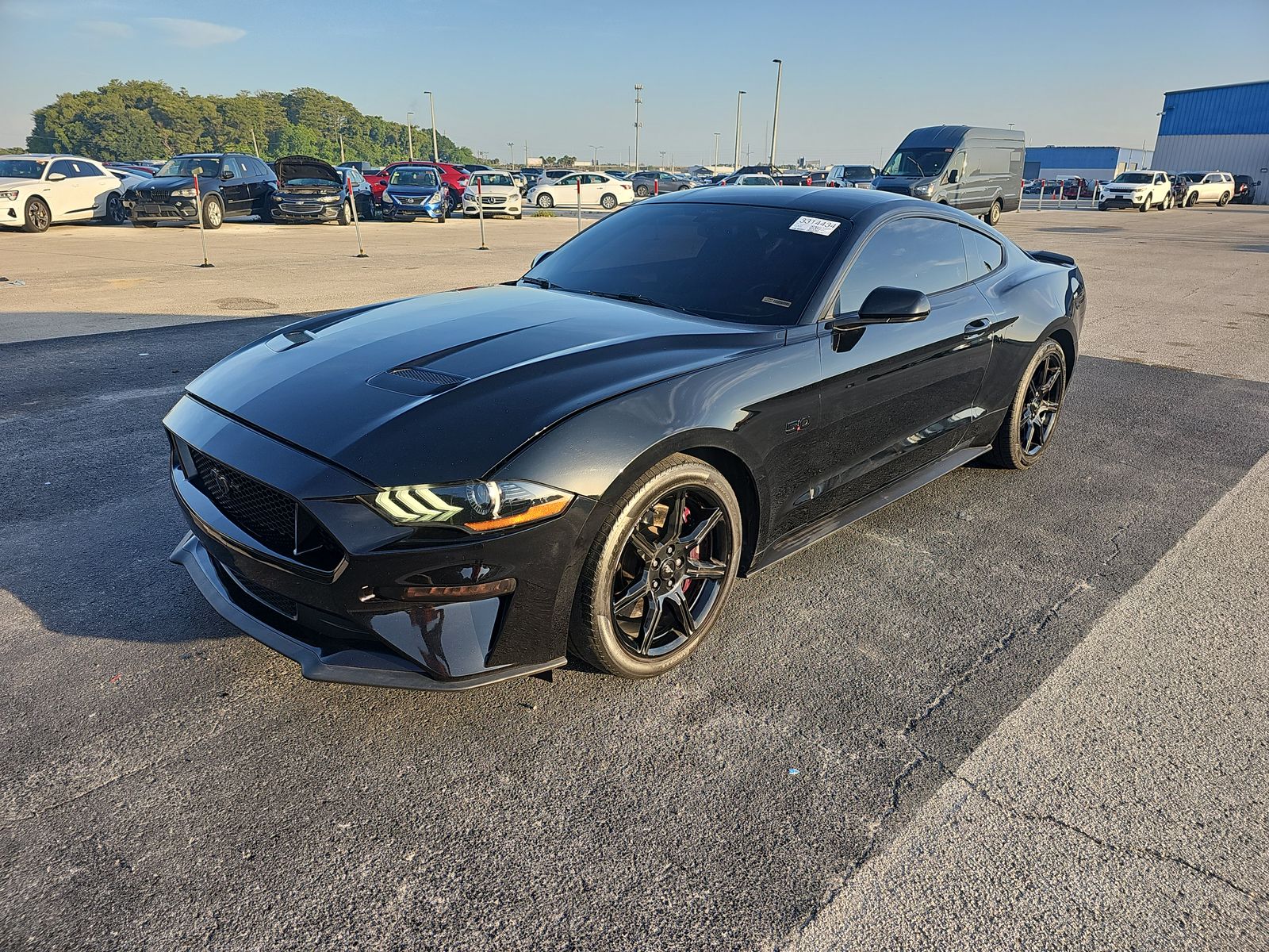 2019 Ford Mustang GT RWD