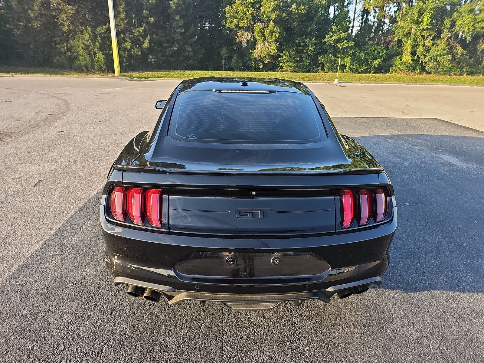 2019 Ford Mustang GT RWD