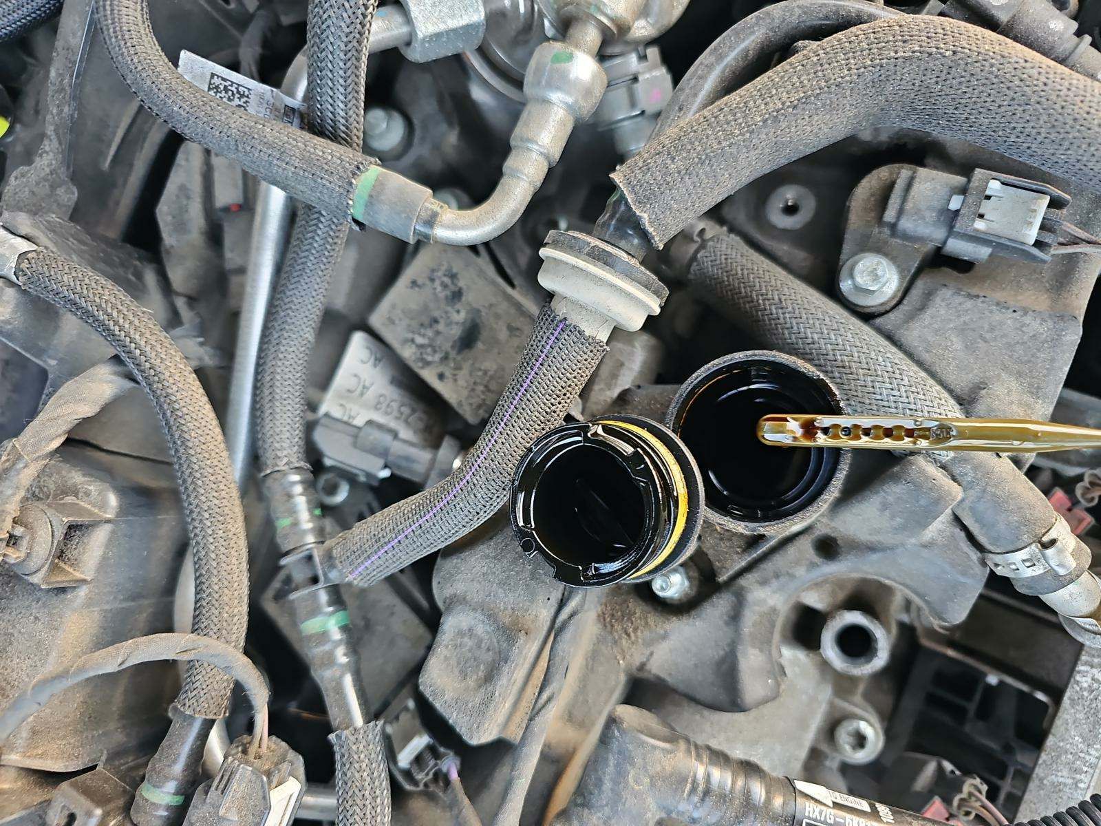 2021 Ford Escape SEL AWD