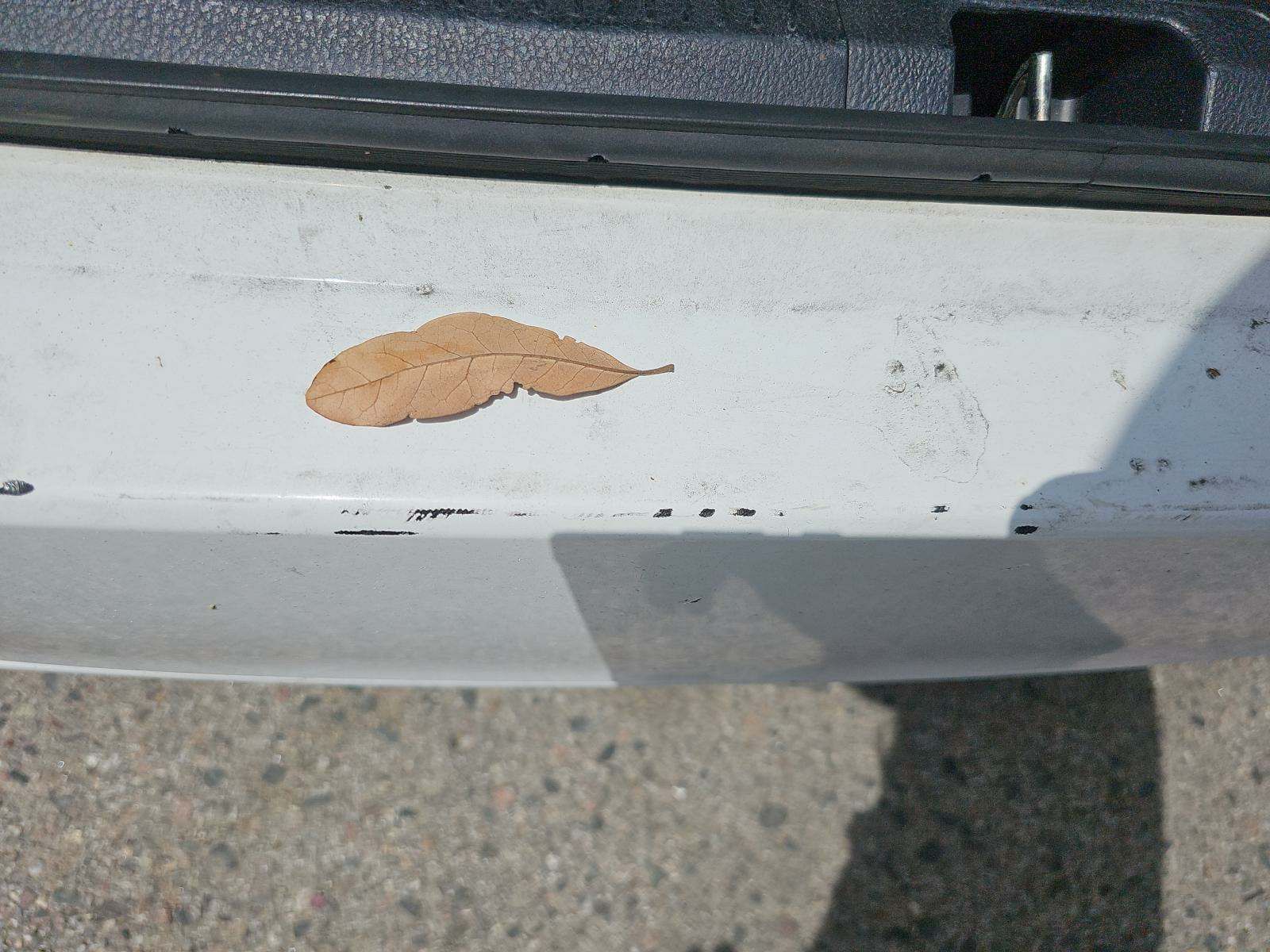 2021 Toyota Camry SE FWD