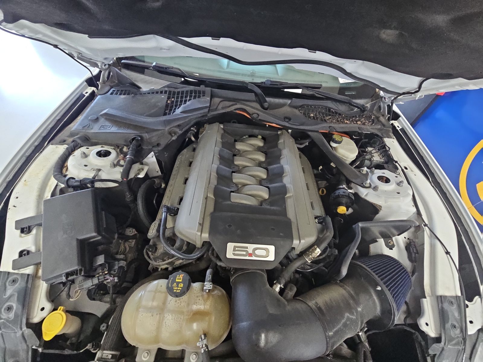 2016 Ford Mustang GT Premium RWD